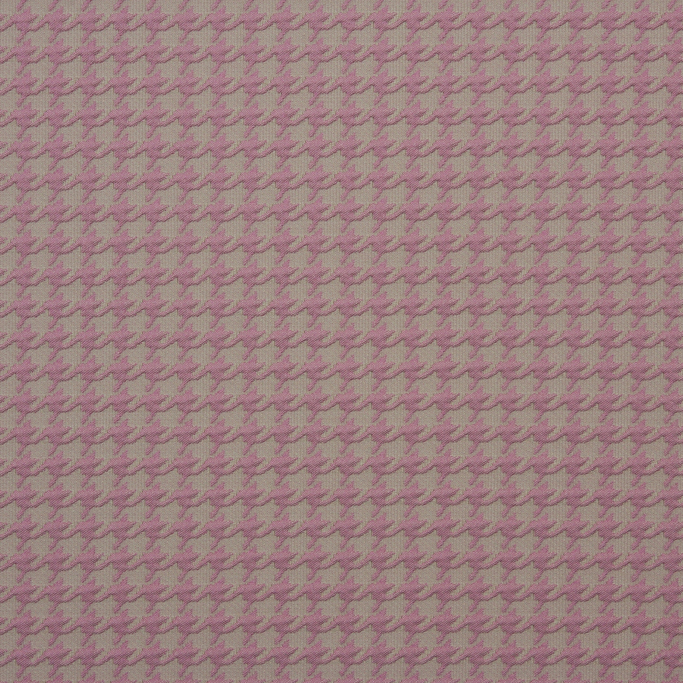 Pop 115
