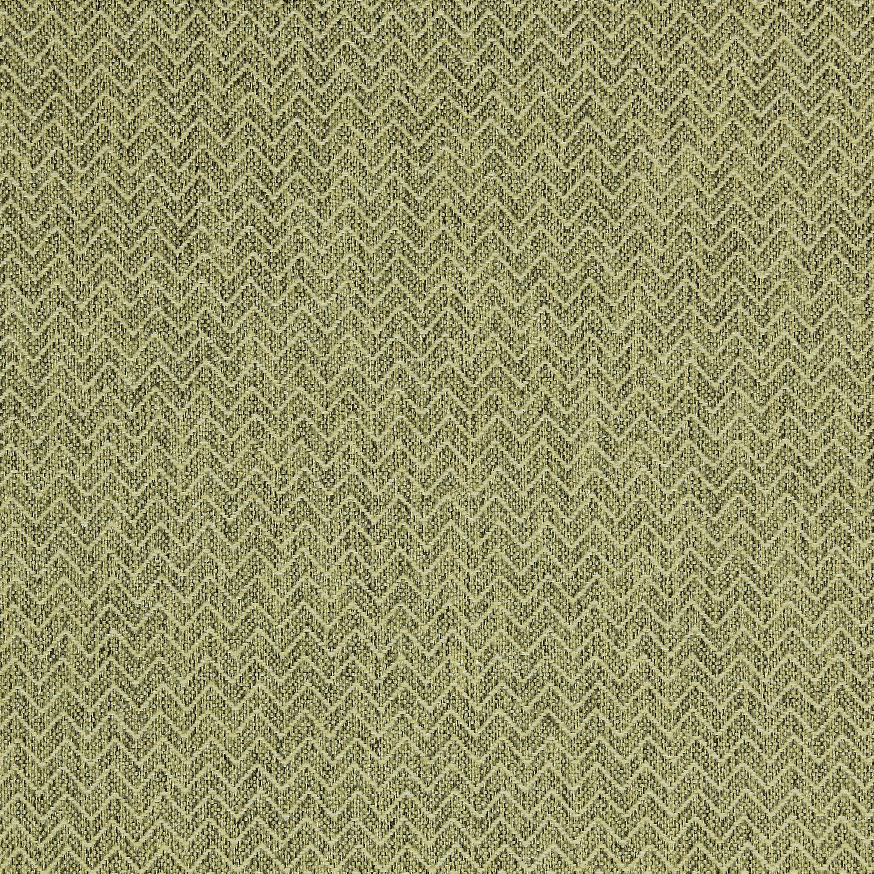 Appeal 107