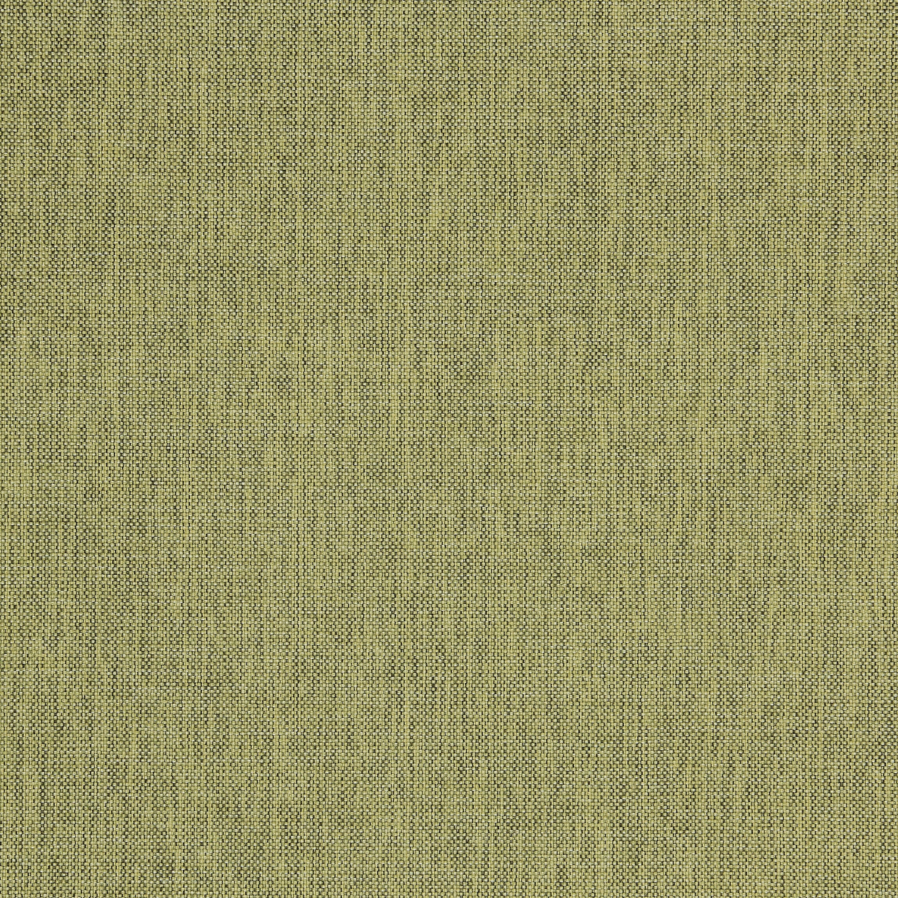 Appeal 307