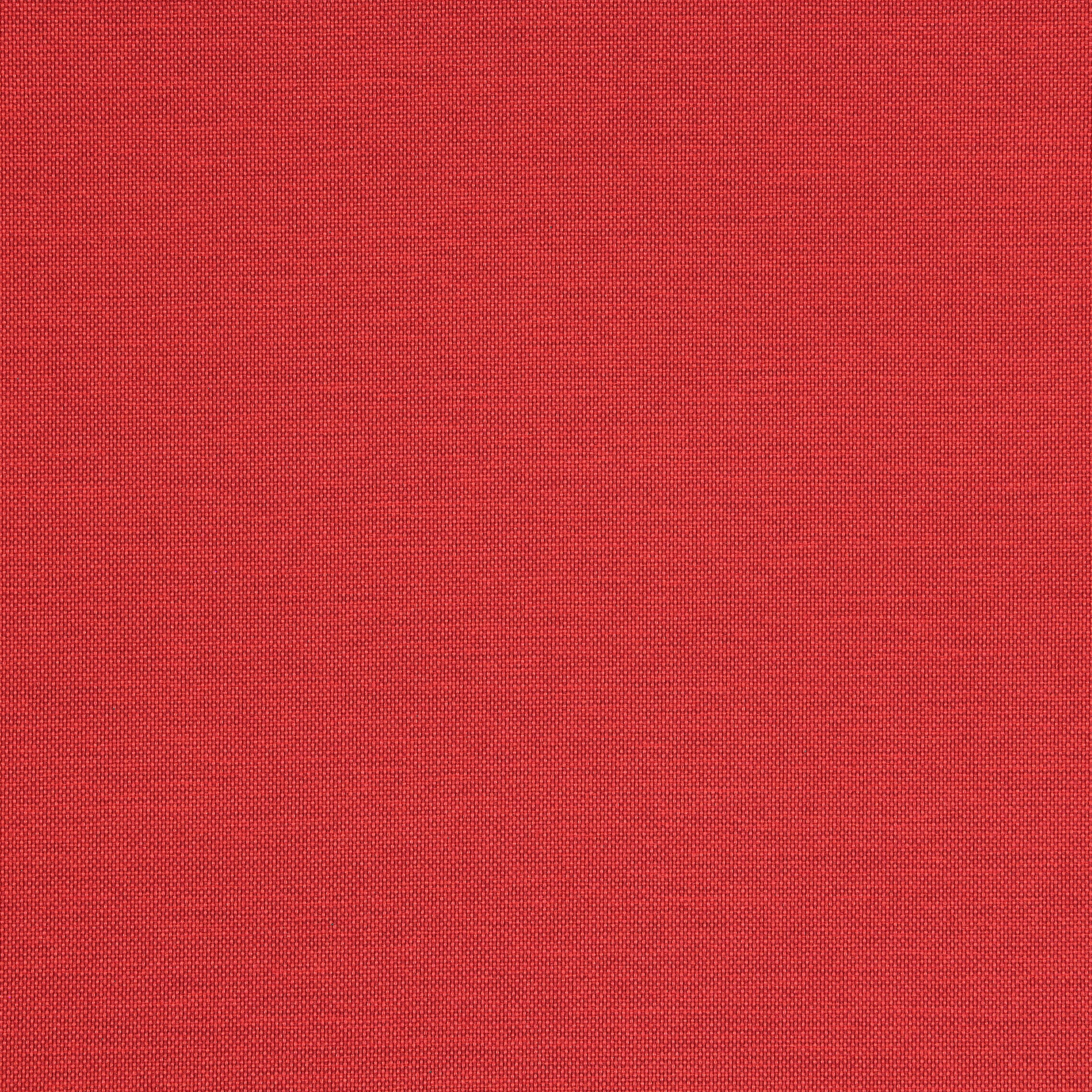 Appeal 310