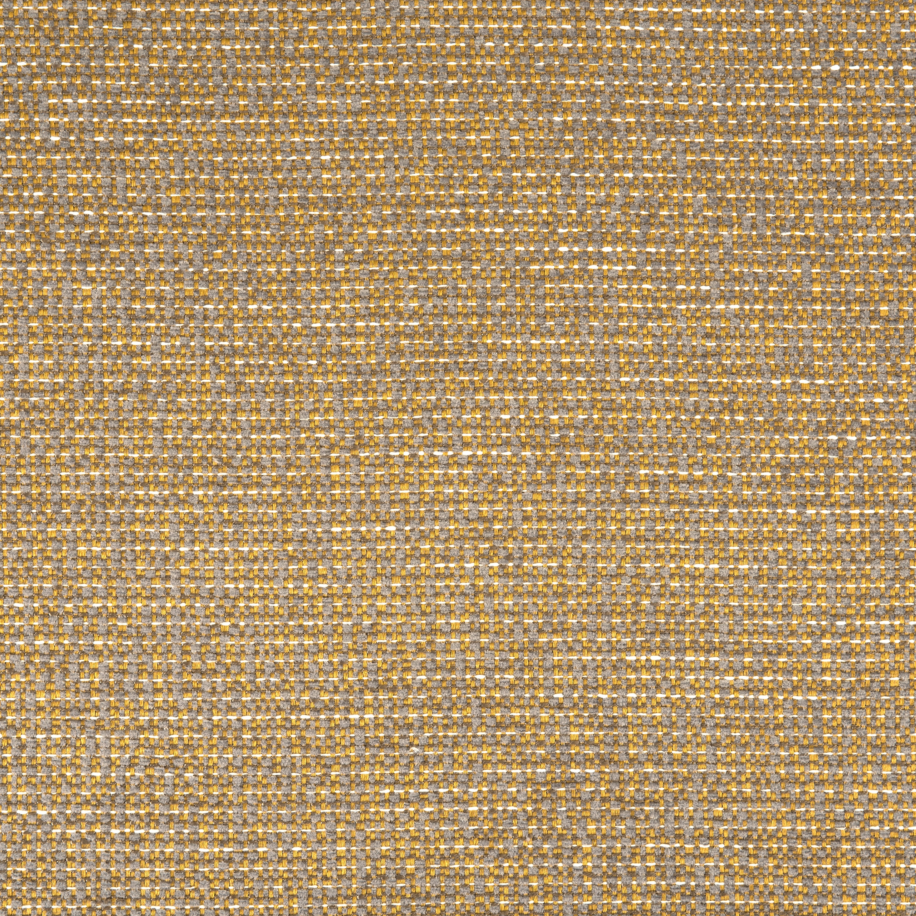 Dada 253