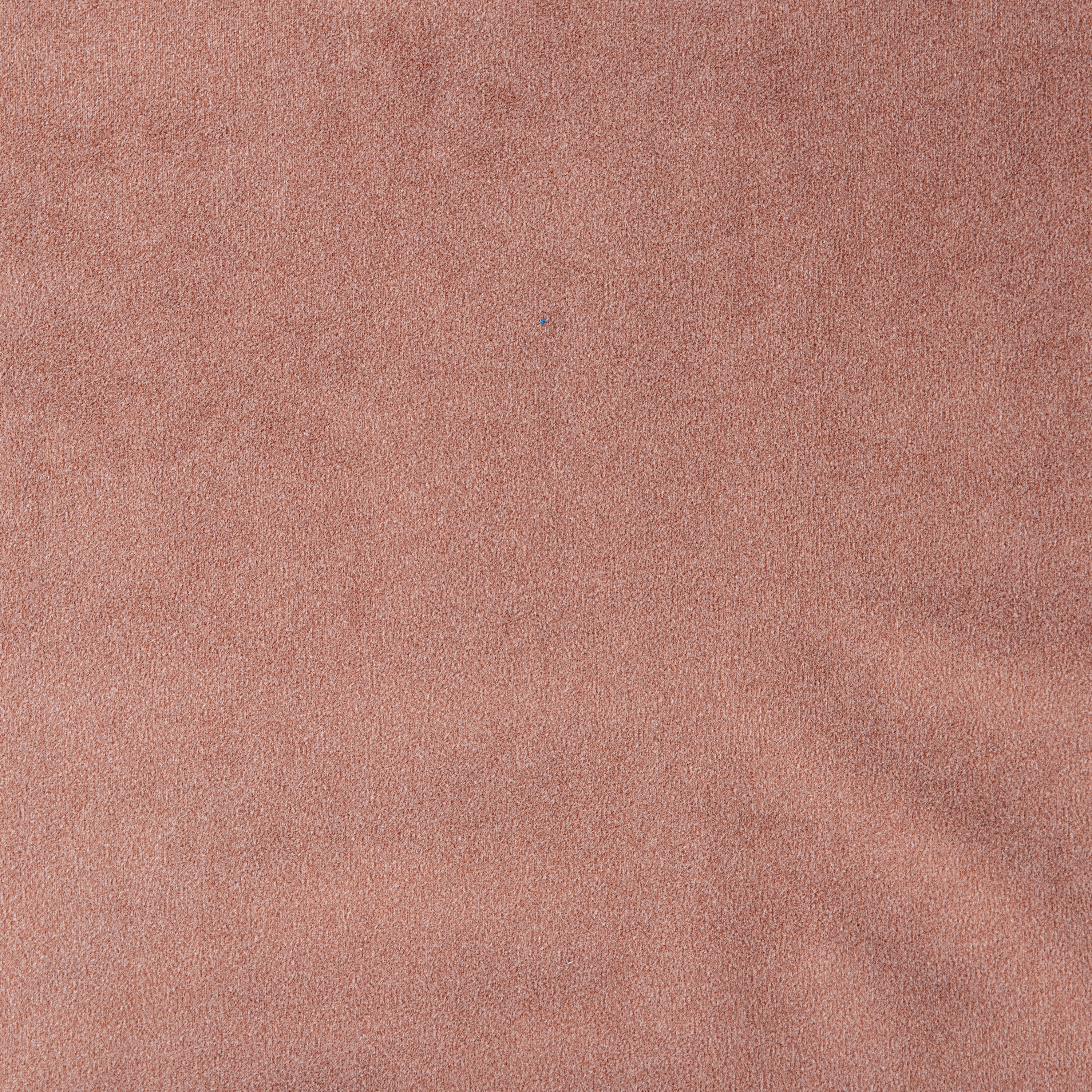 Shabby Velvet 10