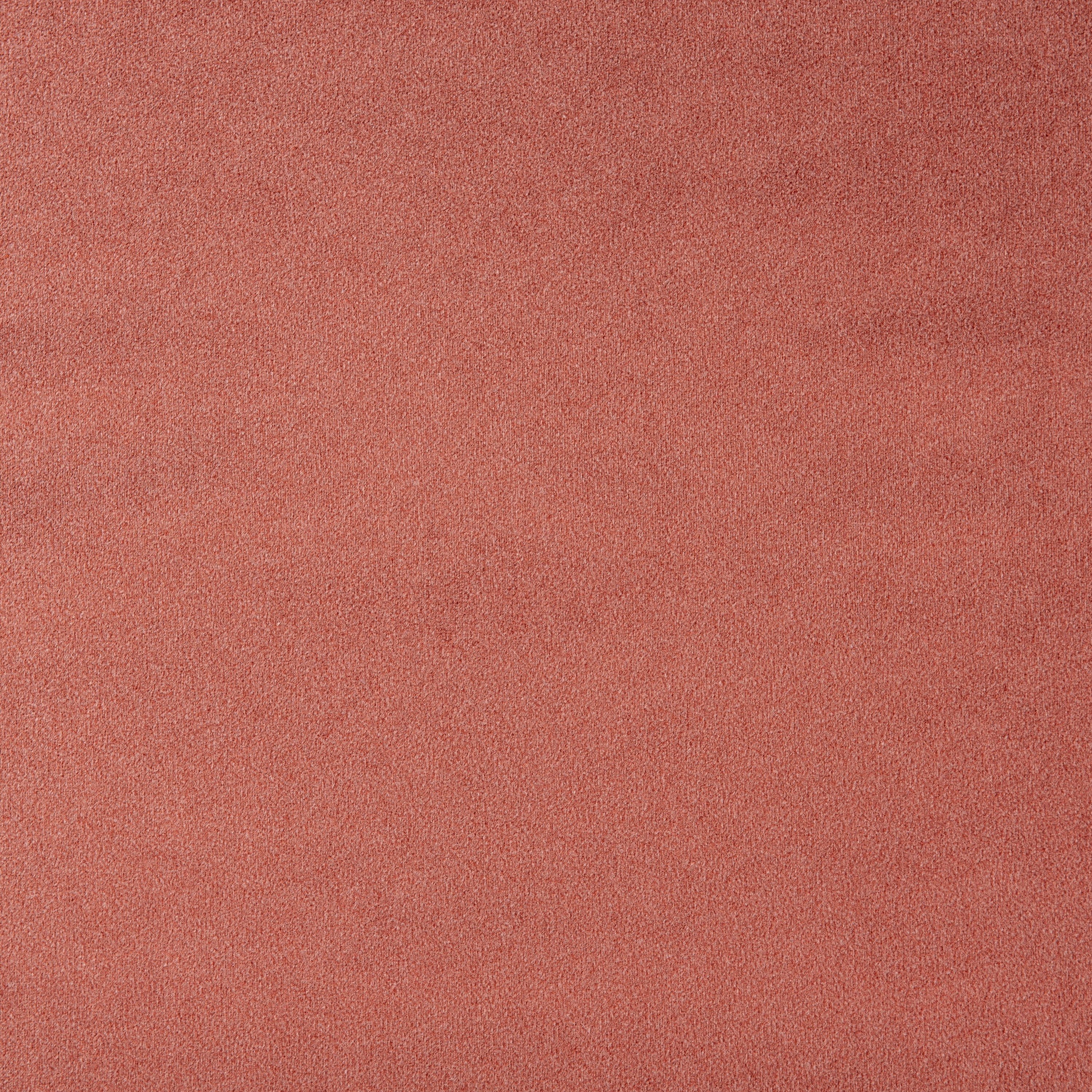 Shabby Velvet 11