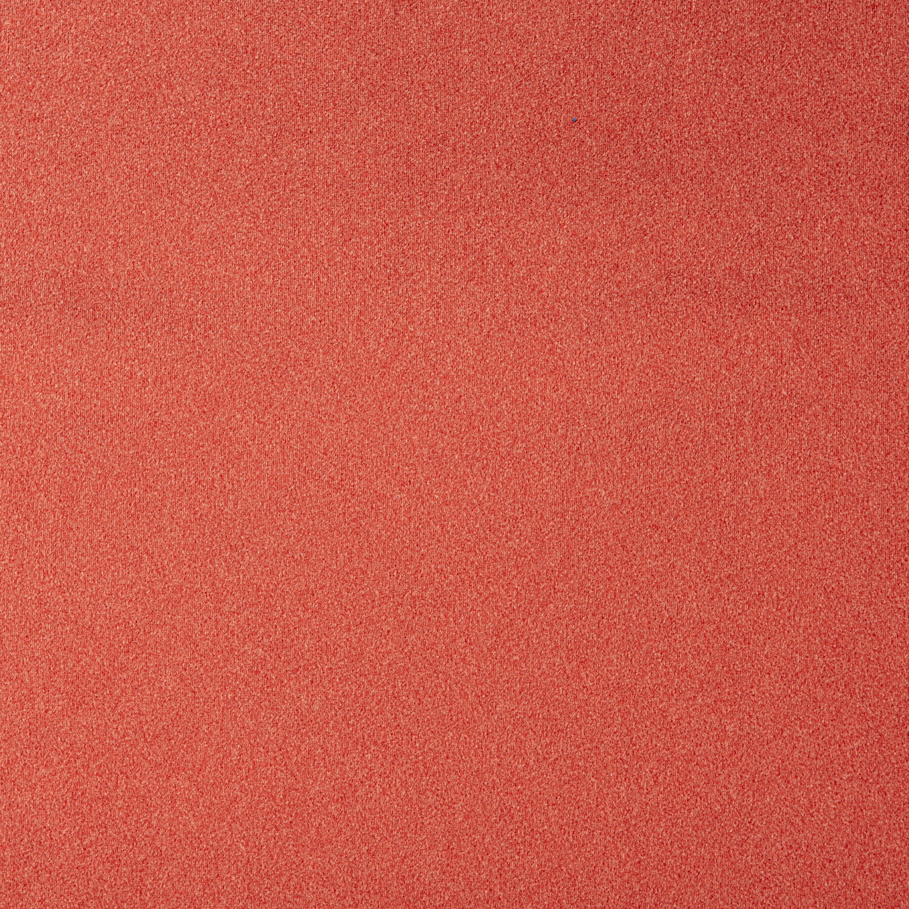 Shabby Velvet 12