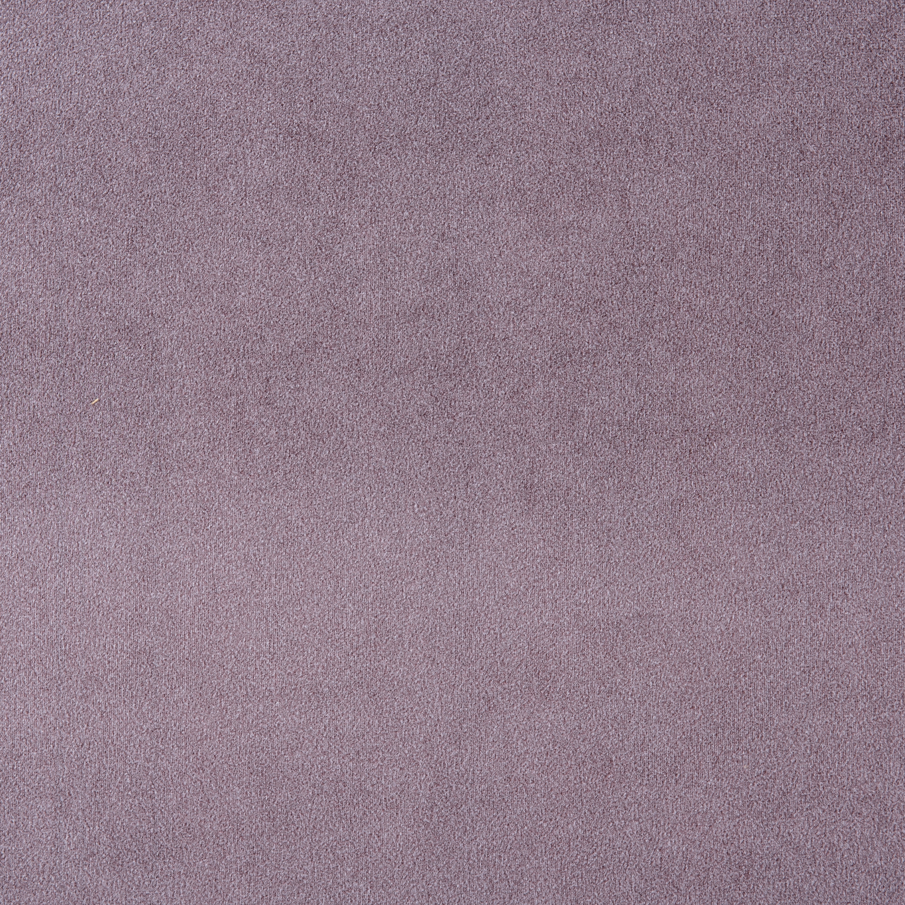 Shabby Velvet 15