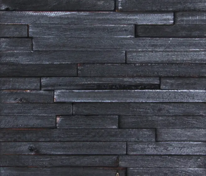Architectural Systems - Charred