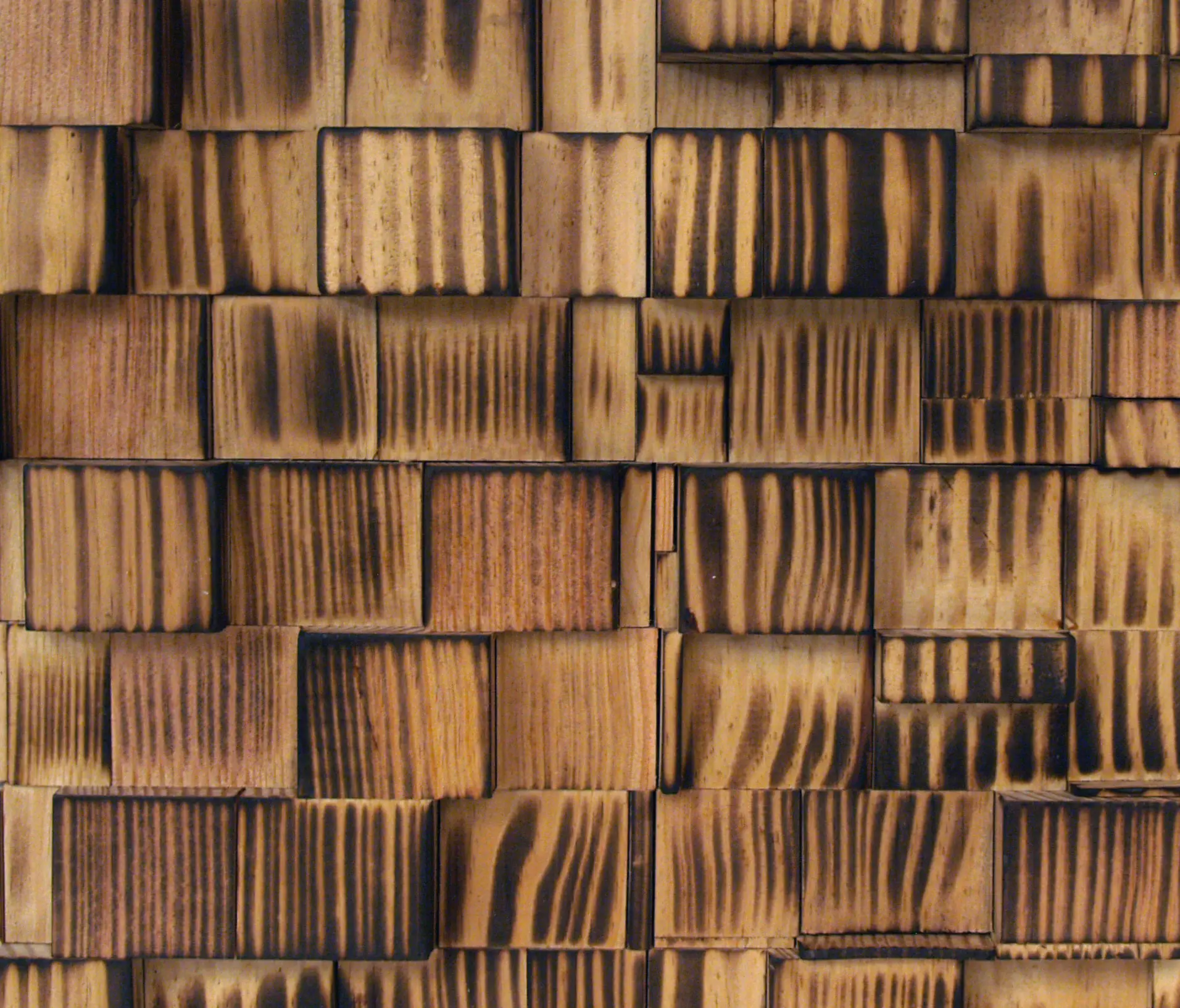 Architectural Systems - Charred