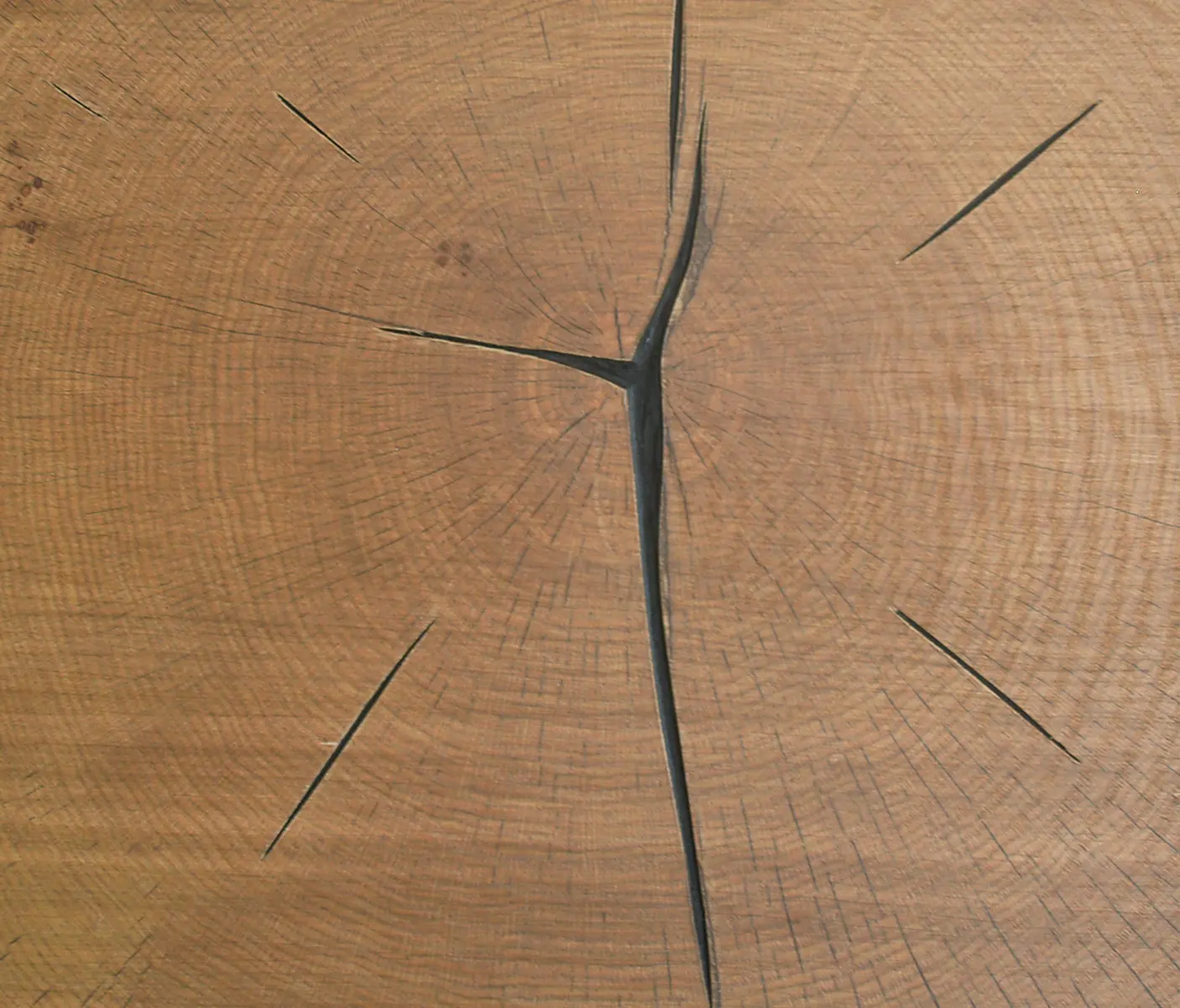 Architectural Systems - Expressionism - End Grain Veneers