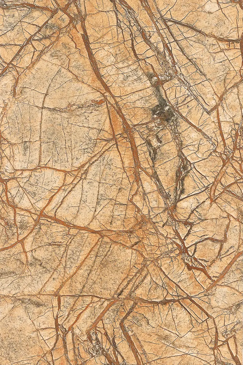 Gani Marble Tiles - Brown | Rainforest Brown - Antique