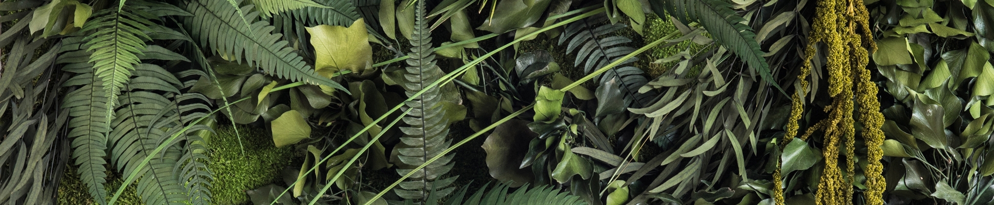 Discover the world of manufacturer styleGREEN