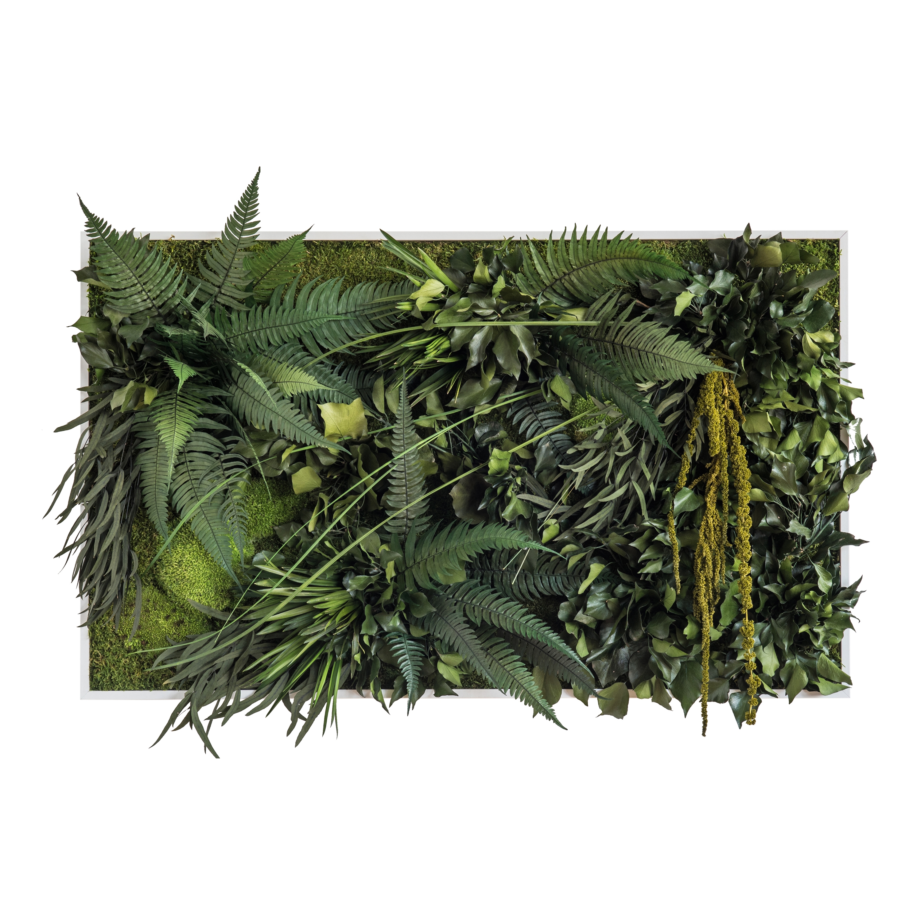 Display product plant picture | jungle 100x60cm from manufacturer styleGREEN