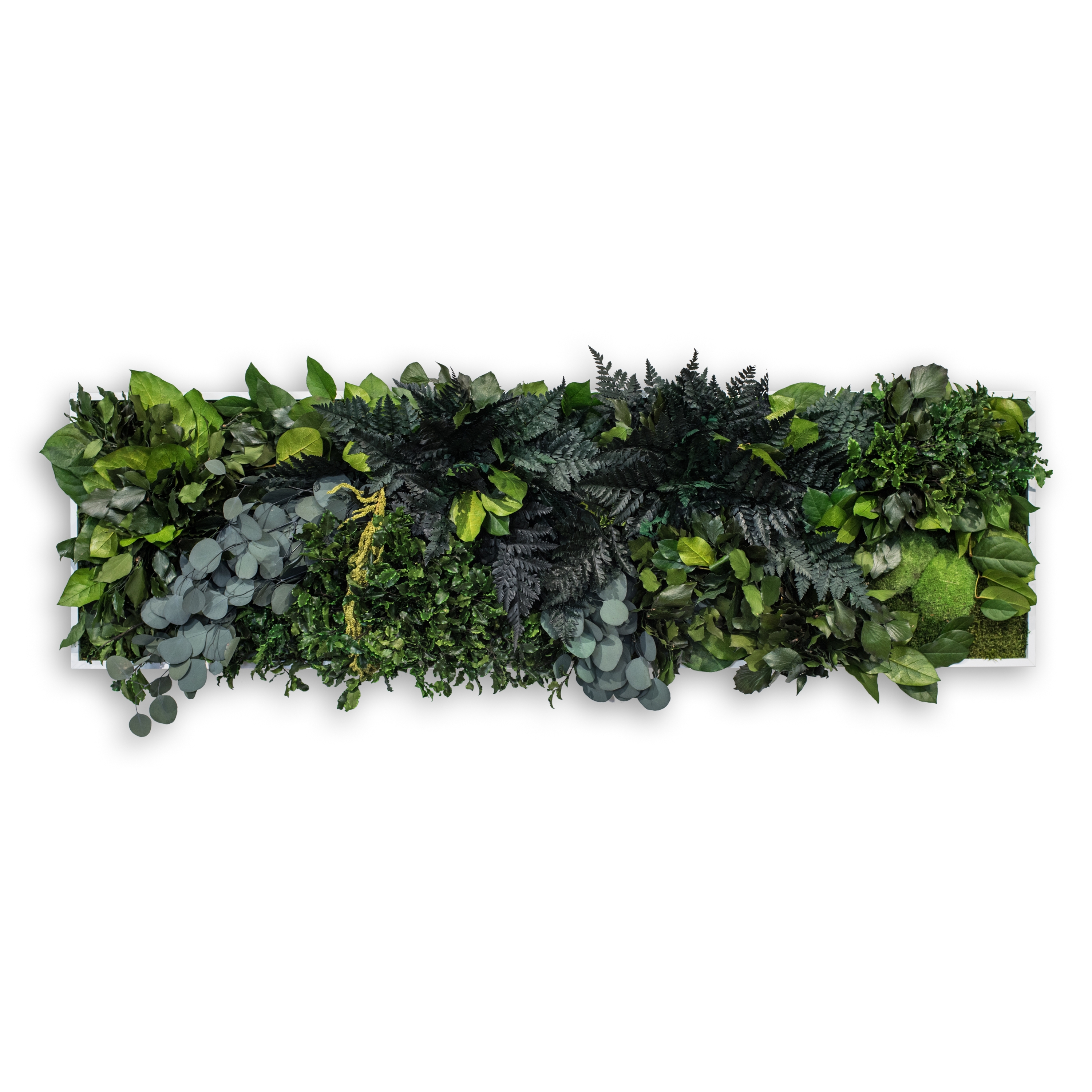 Display product plant picture | jungle 140x40cm from manufacturer styleGREEN