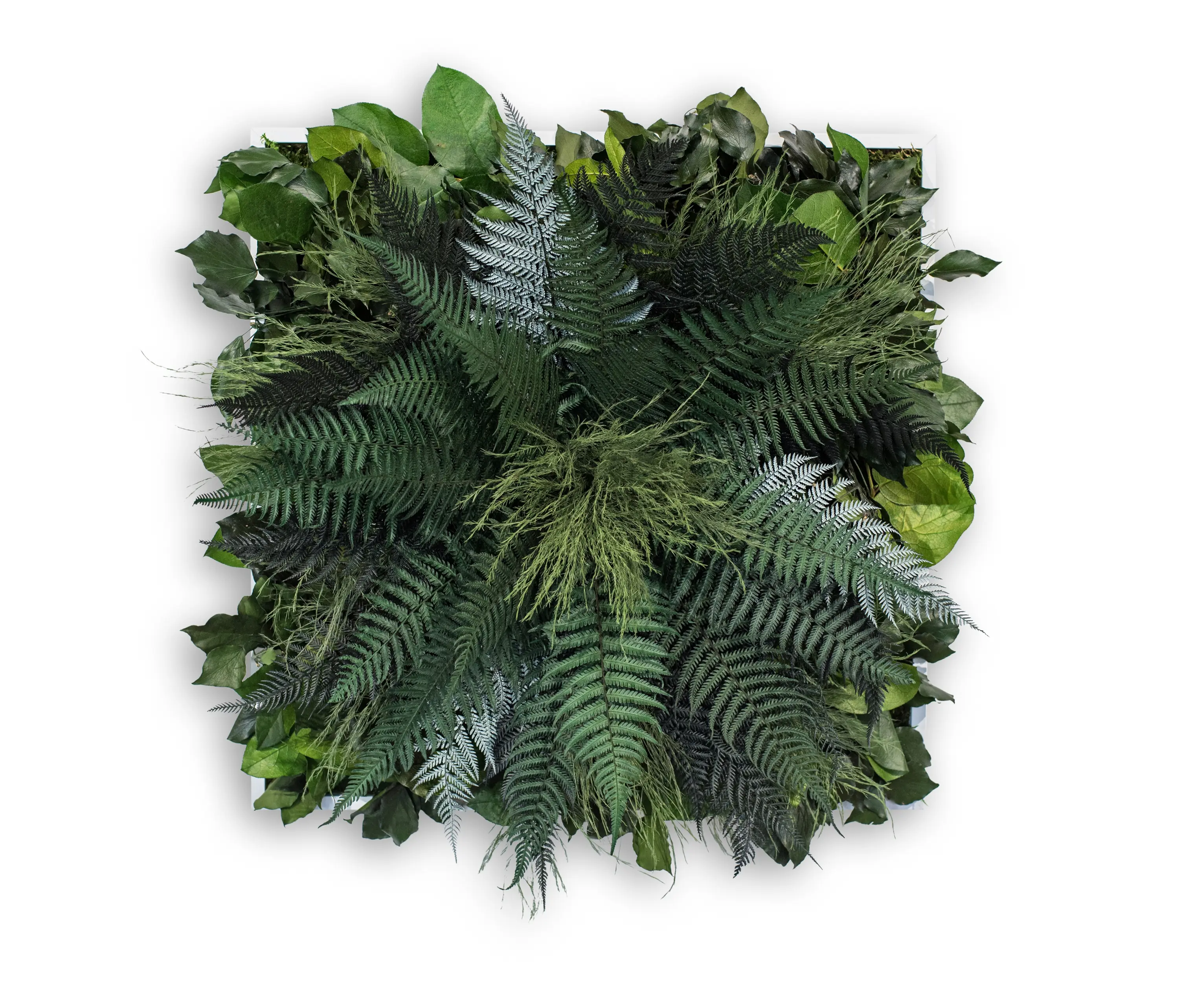 styleGREEN - Pflanzenbild | Dschungel 55x55cm