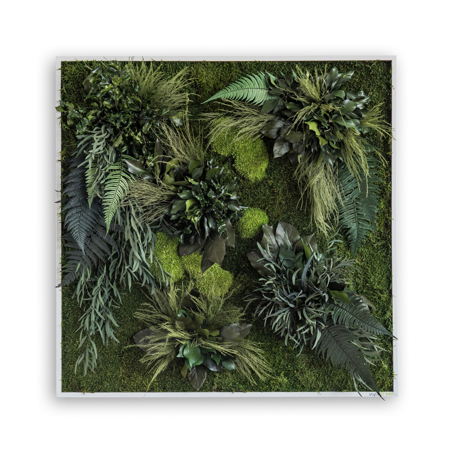 Display product plant picture | plant islands 80x80cm from manufacturer styleGREEN