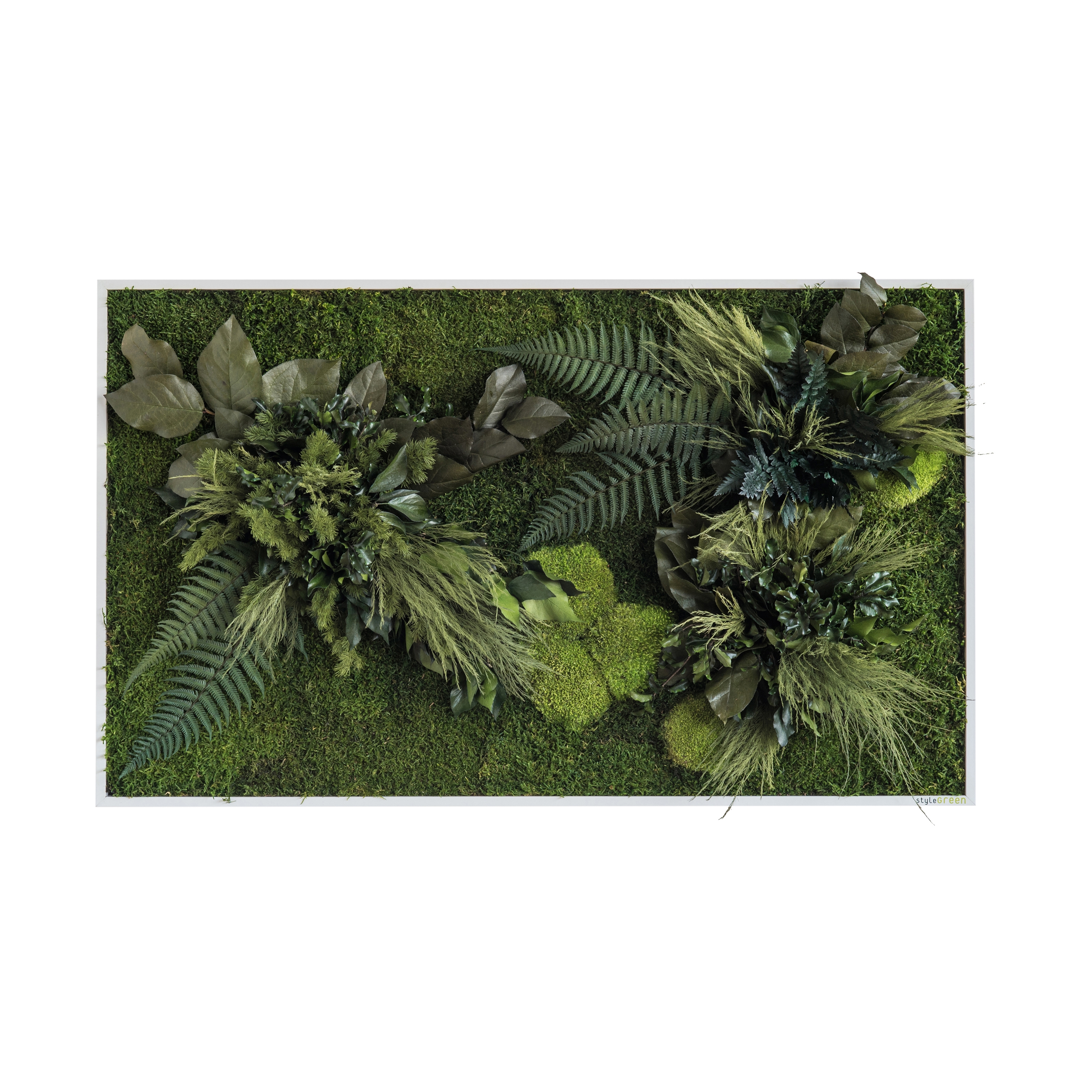 Display product plant picture | plant islands 100x60cm from manufacturer styleGREEN