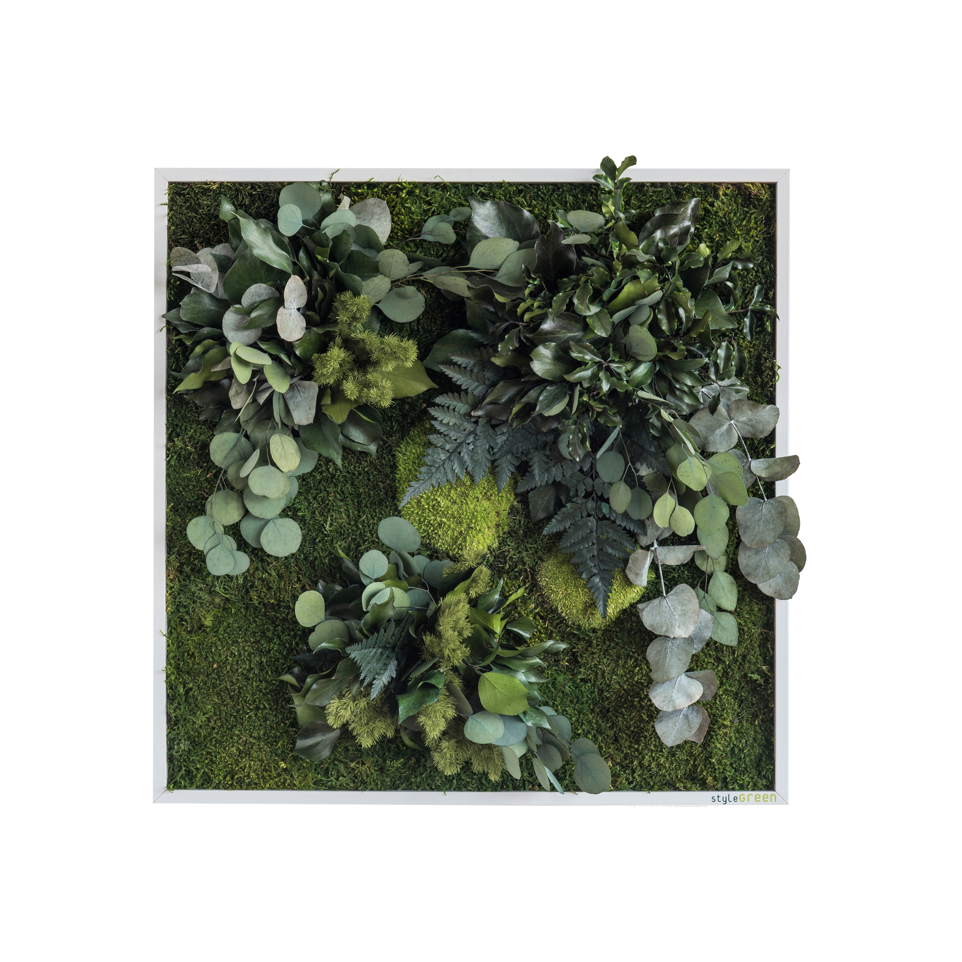 Display product plant picture | plant islands 55x55cm from manufacturer styleGREEN