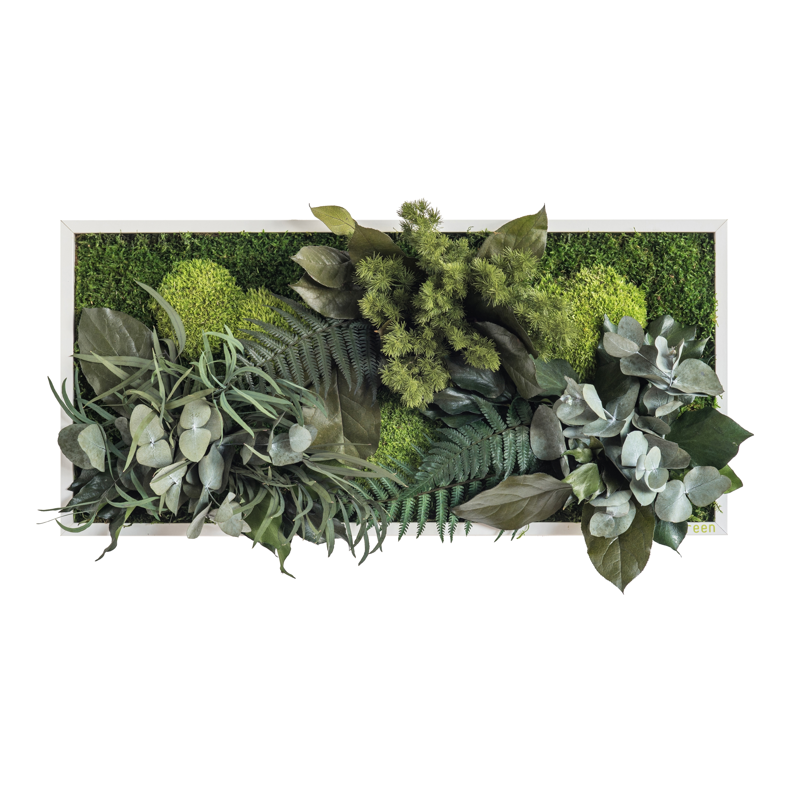 Display product plant picture | plant islands 57x27cm from manufacturer styleGREEN