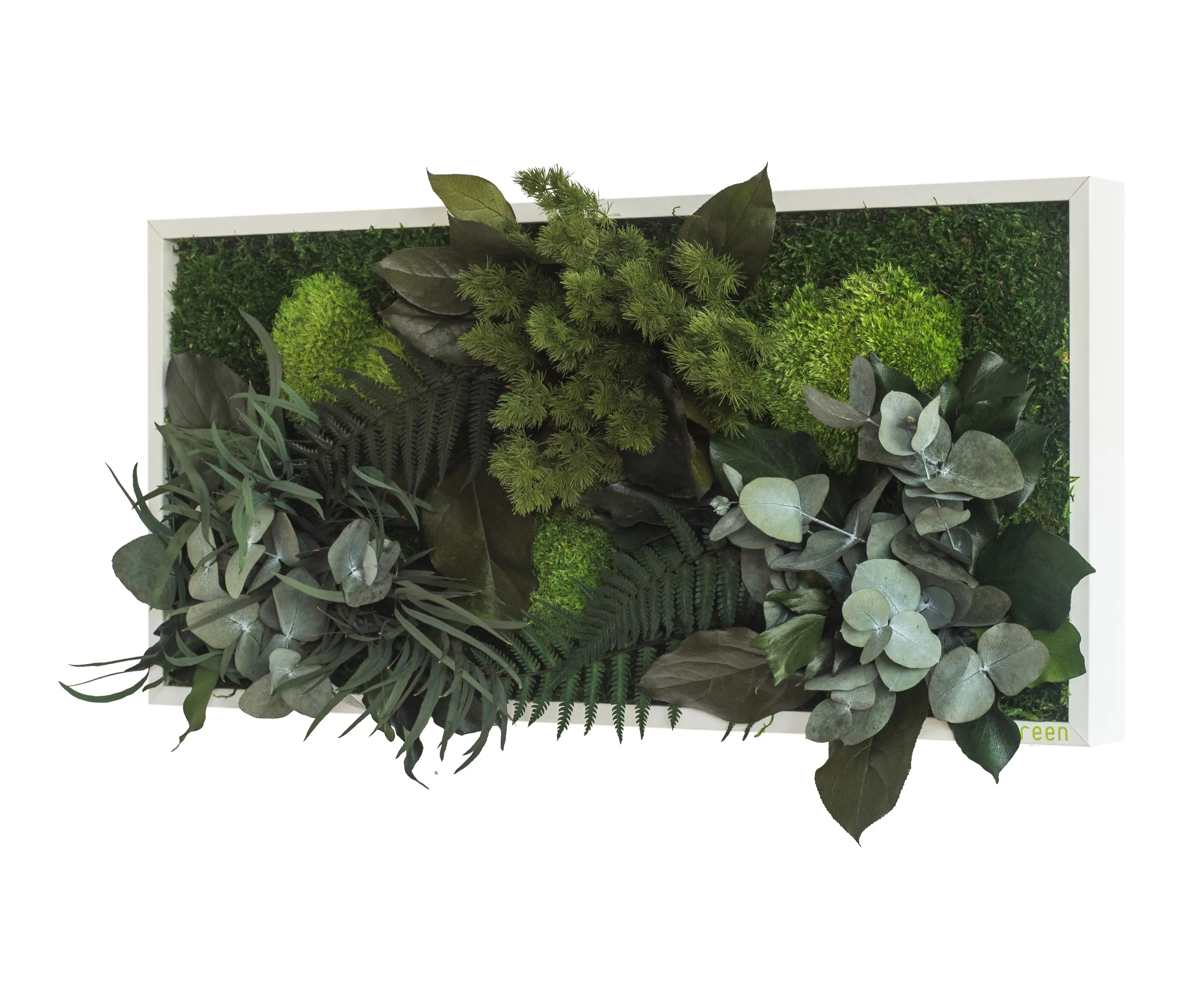 styleGREEN - plant picture | plant islands 57x27cm