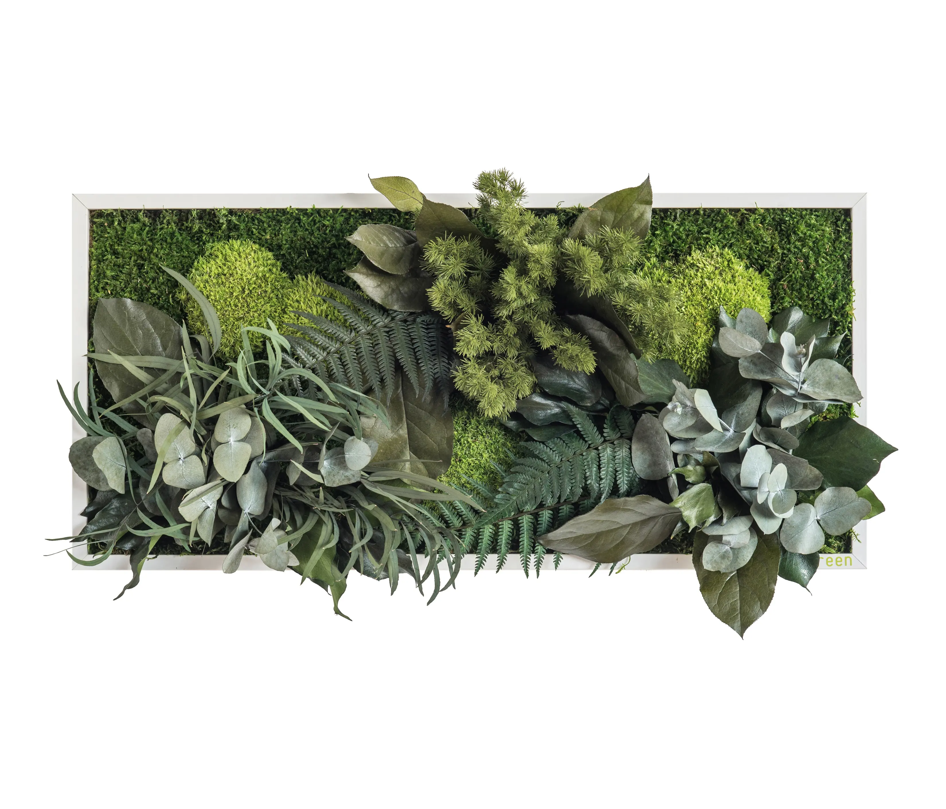 styleGREEN - plant picture | plant islands 57x27cm