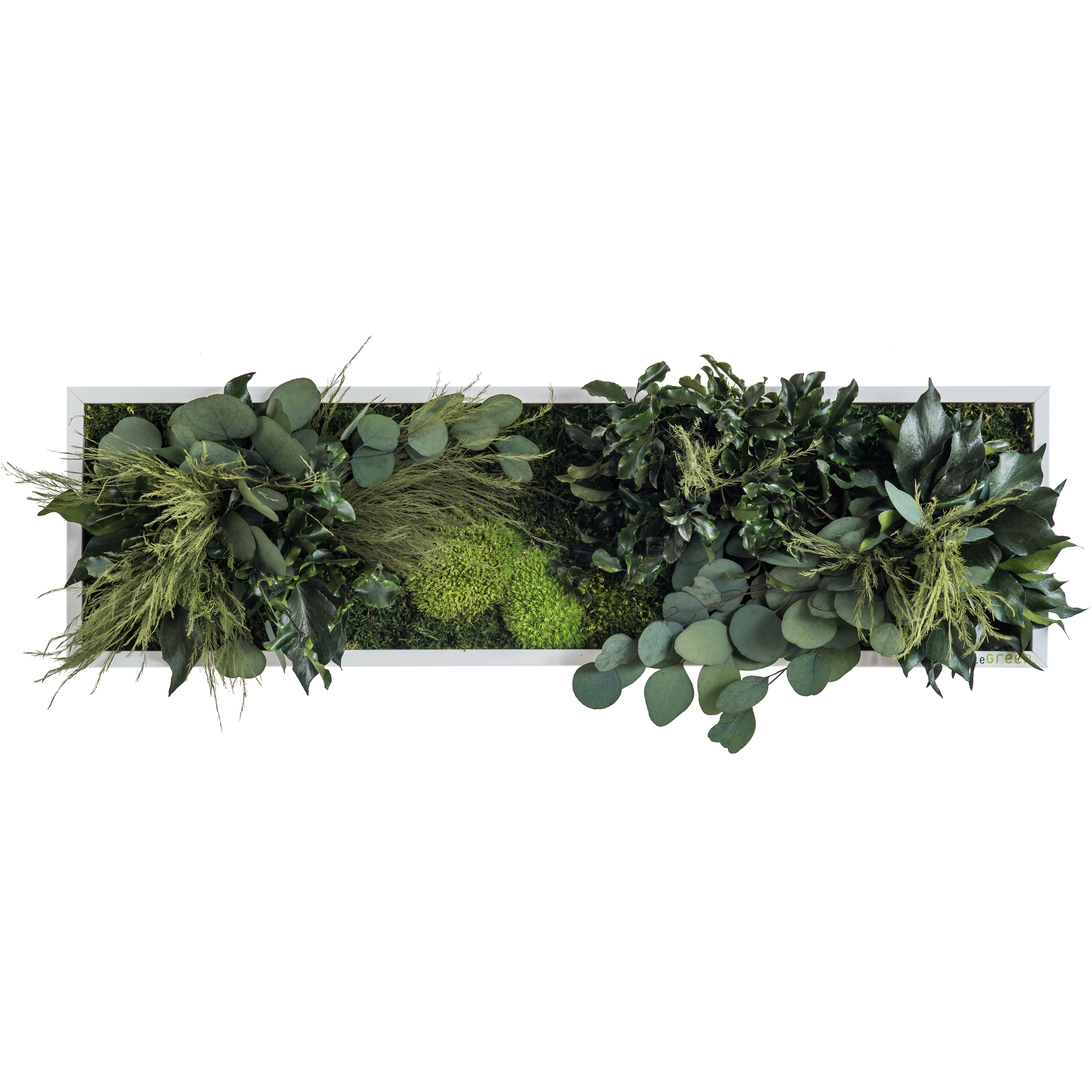 Display product plant picture | plant islands 70x20cm from manufacturer styleGREEN