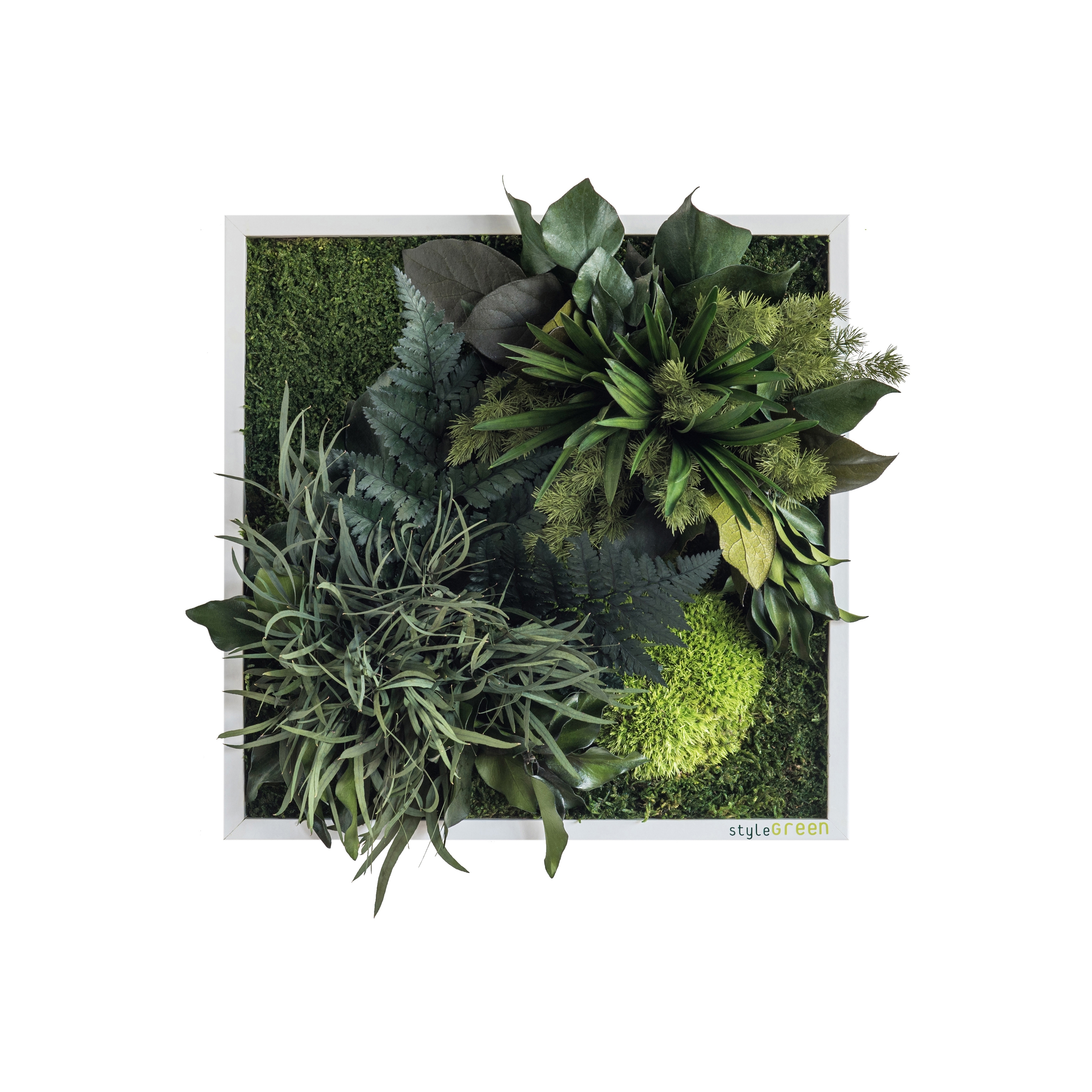 Display product plant picture | plant islands 35x35cm from manufacturer styleGREEN
