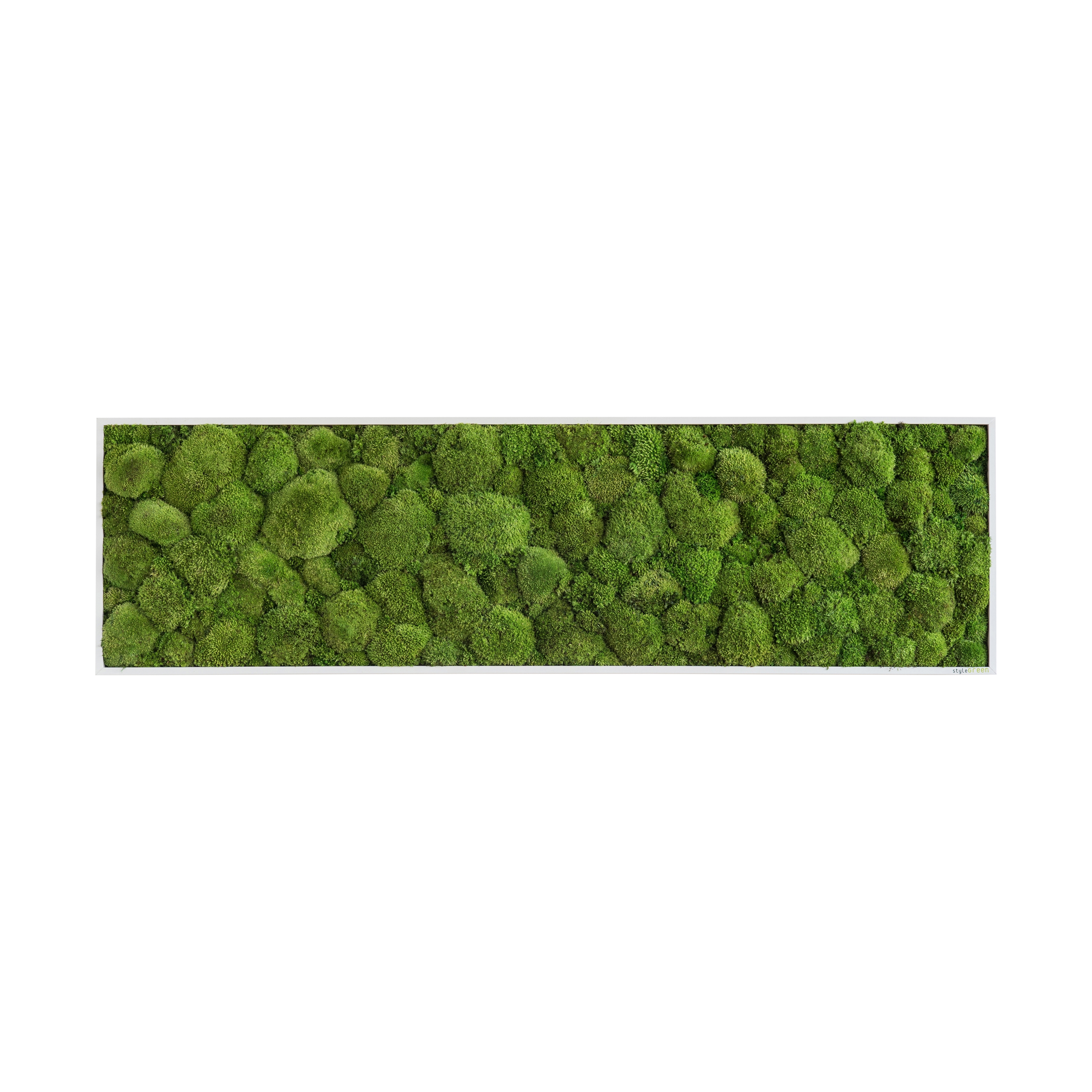 Display product moss picture | pole moss picture 140x40cm from manufacturer styleGREEN
