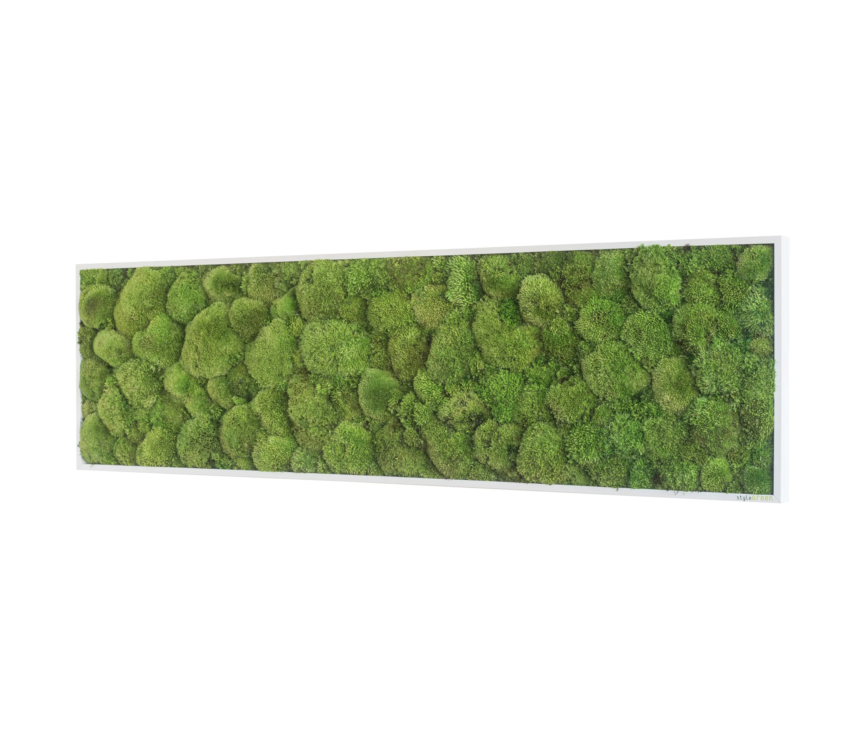 styleGREEN - moss picture | pole moss picture 140x40cm