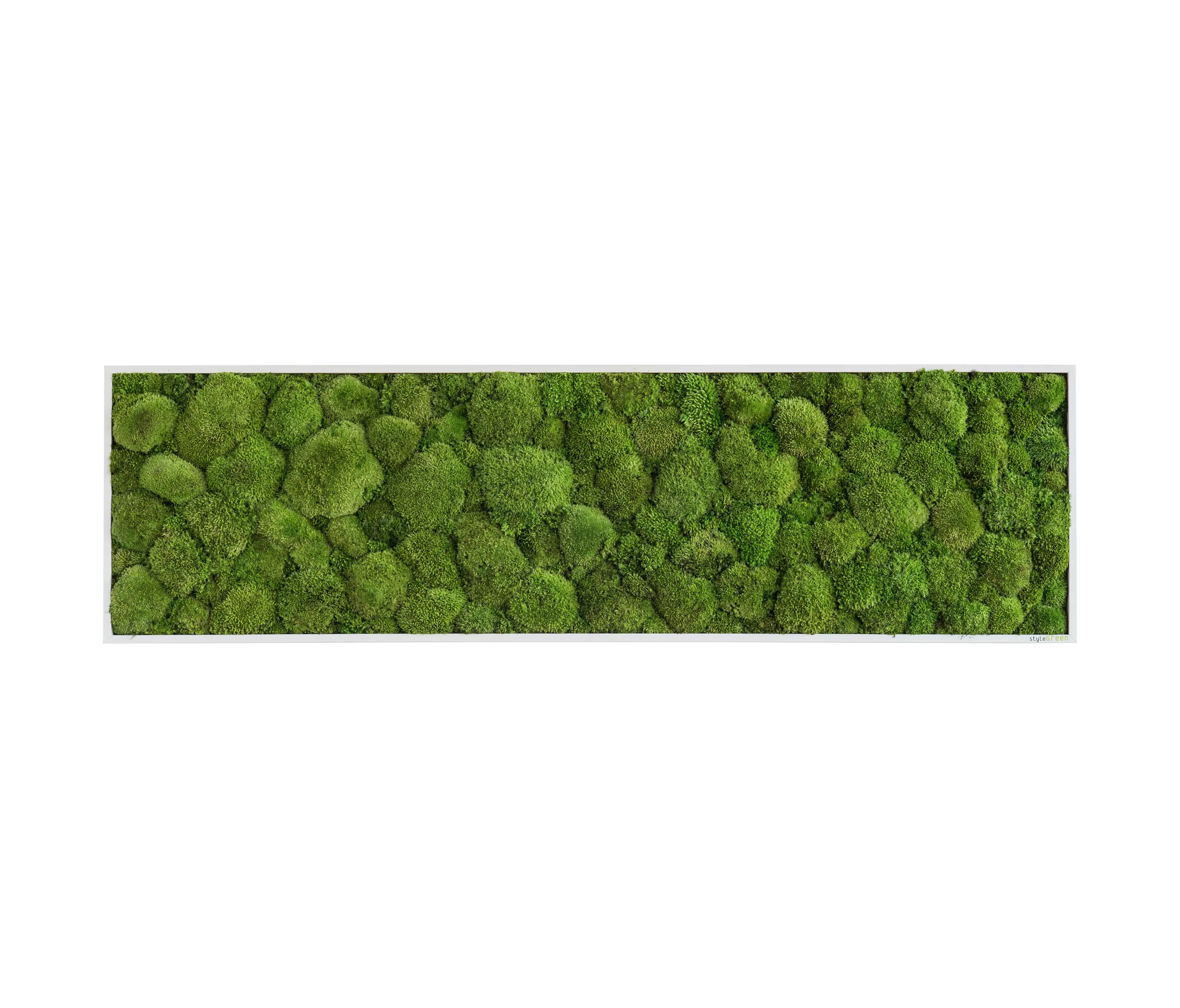 styleGREEN - moss picture | pole moss picture 140x40cm