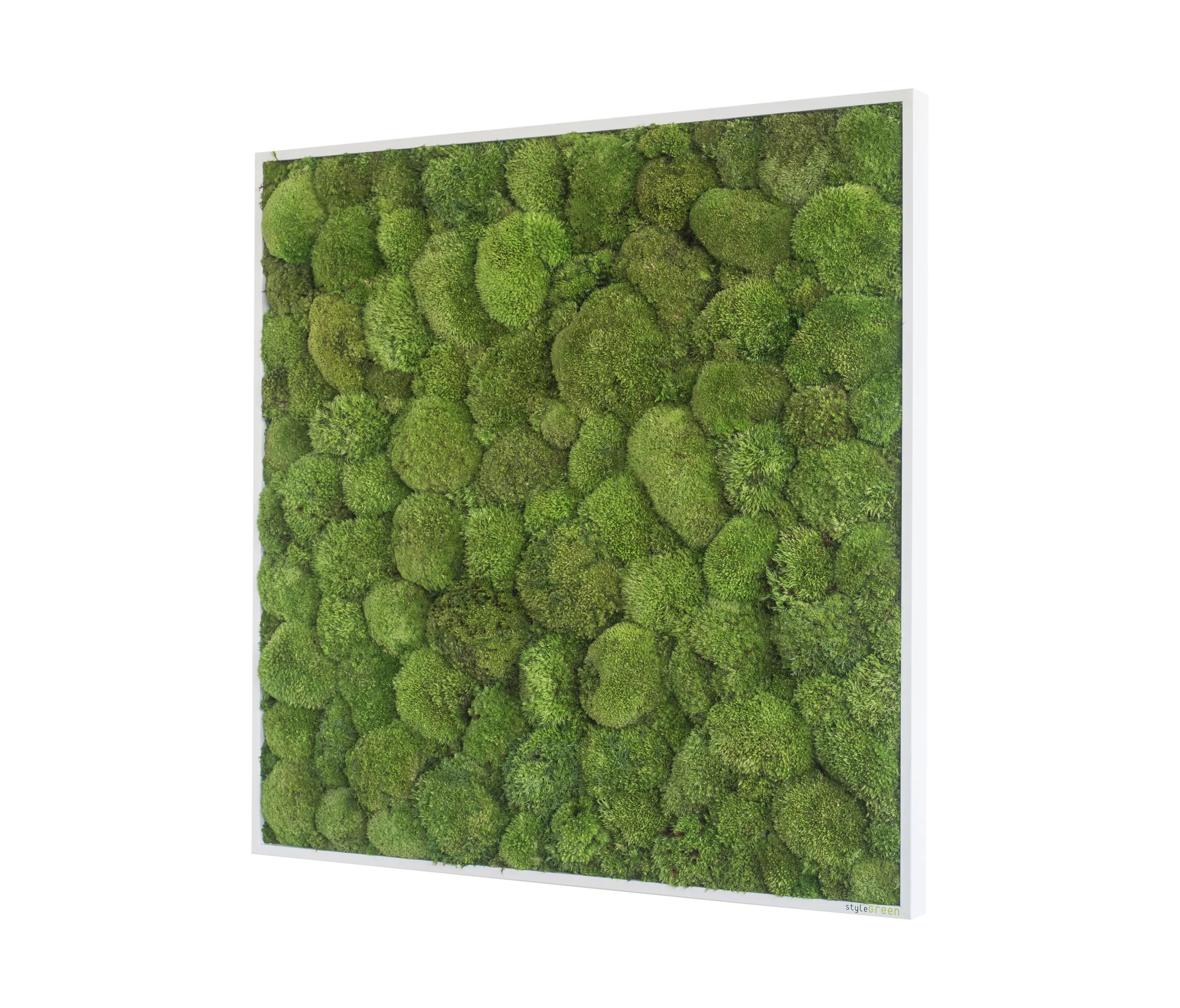 styleGREEN - moss picture | pole moss picture 80x80cm