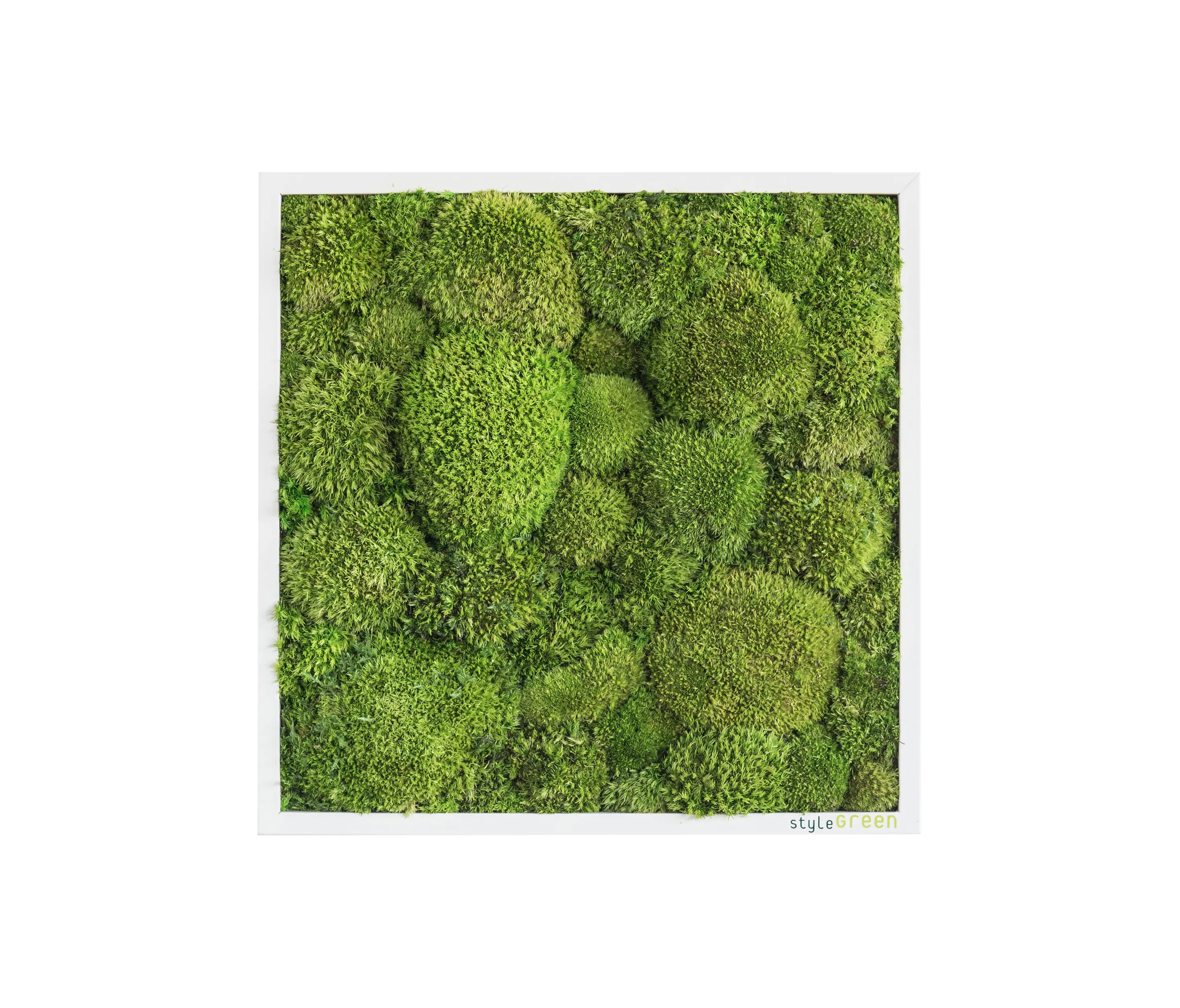styleGREEN - moss picture | pole moss picture 35x35cm