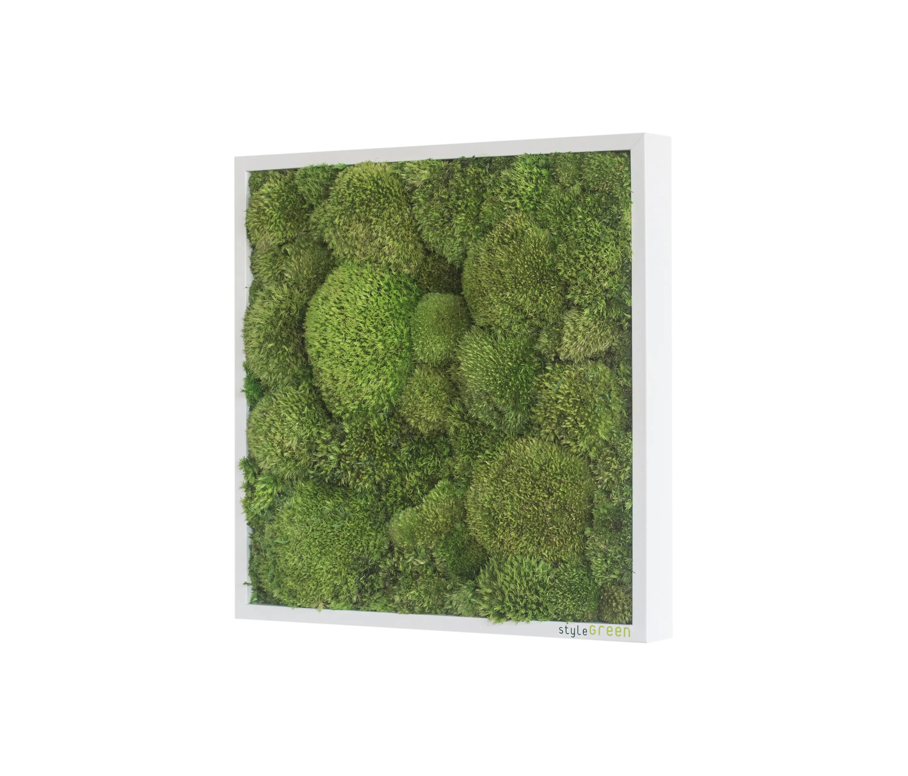 styleGREEN - moss picture | pole moss picture 35x35cm
