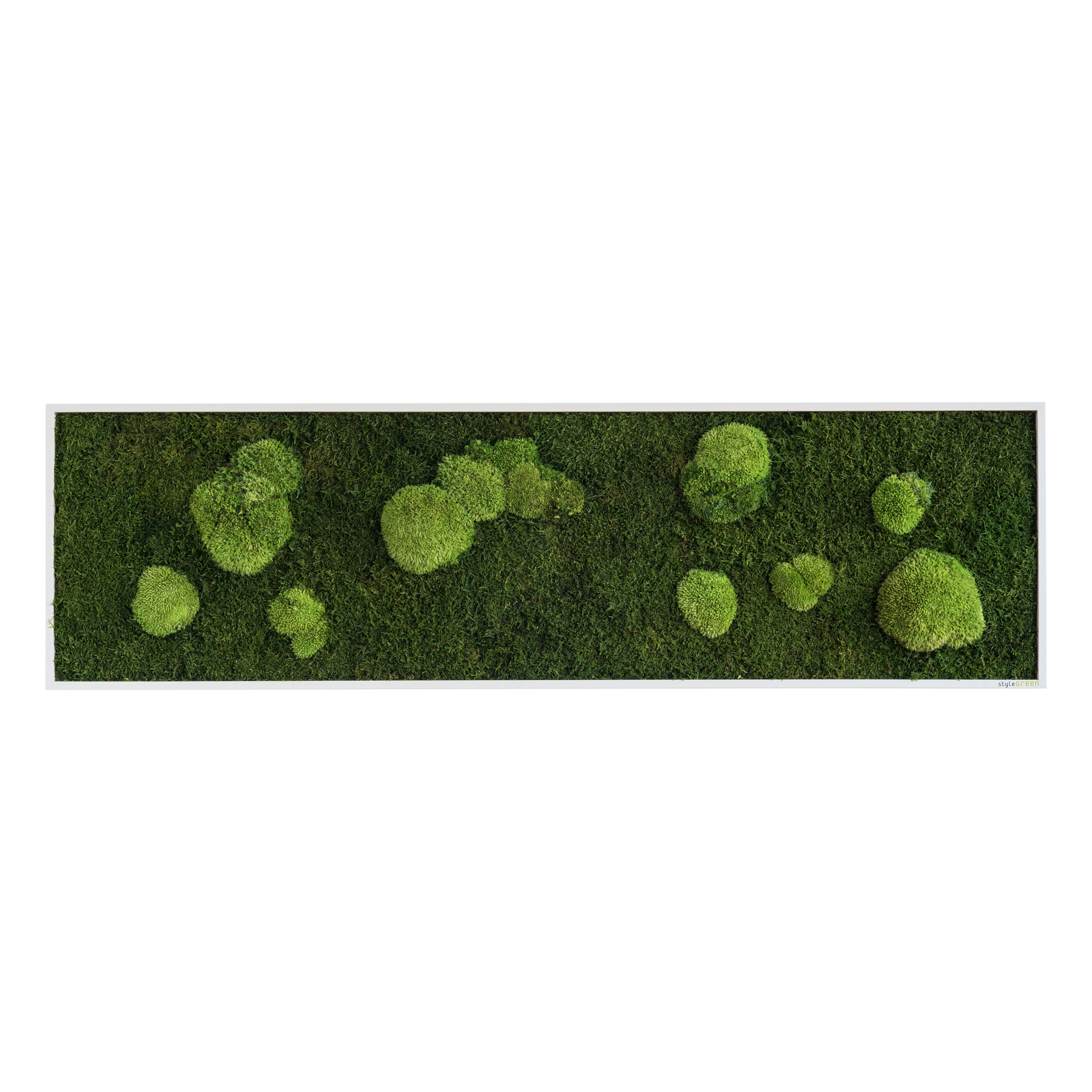 Display product moss picture | pole and forest moss picture 140x40cm from manufacturer styleGREEN