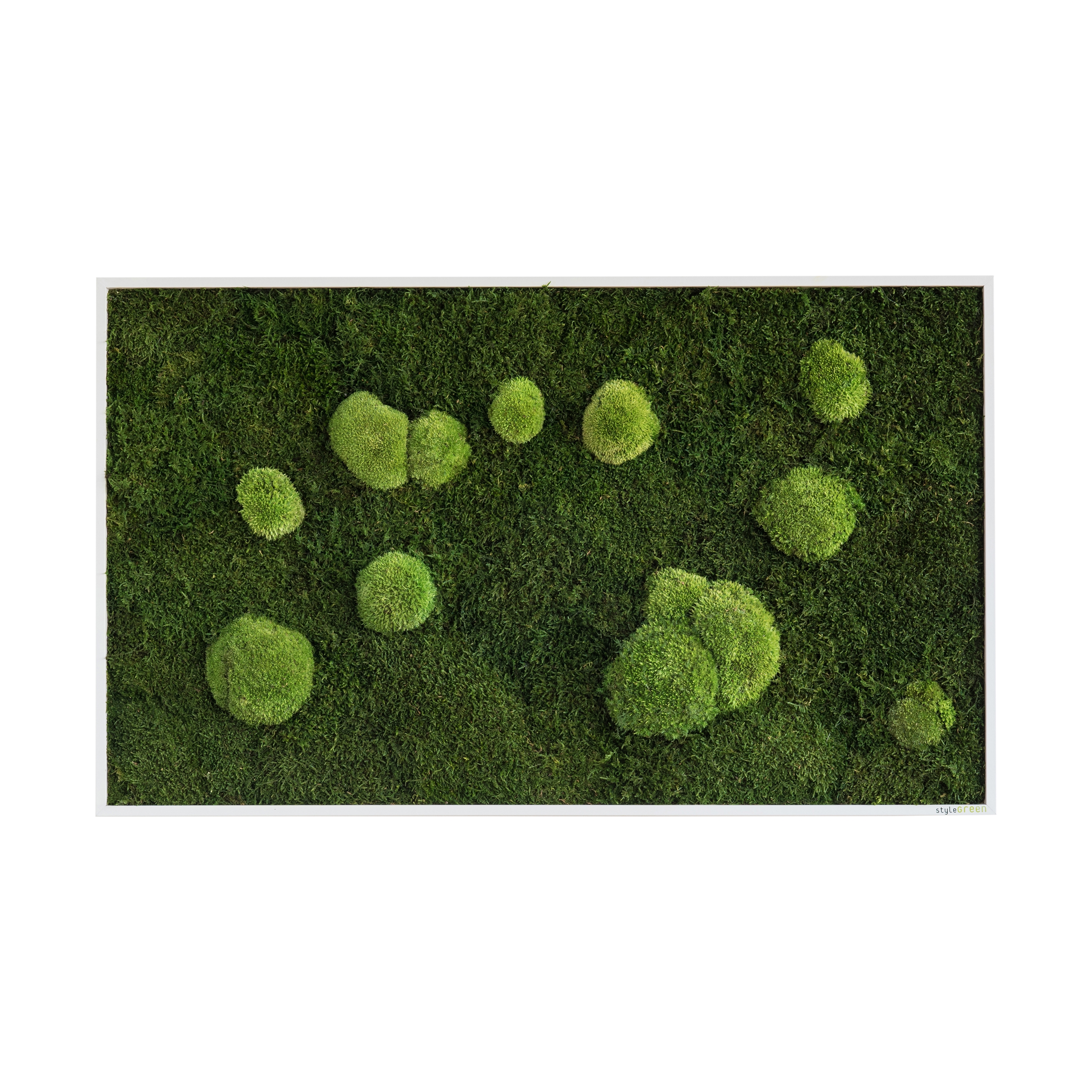 Display product moss picture | pole and forest moss picture 100x60cm from manufacturer styleGREEN