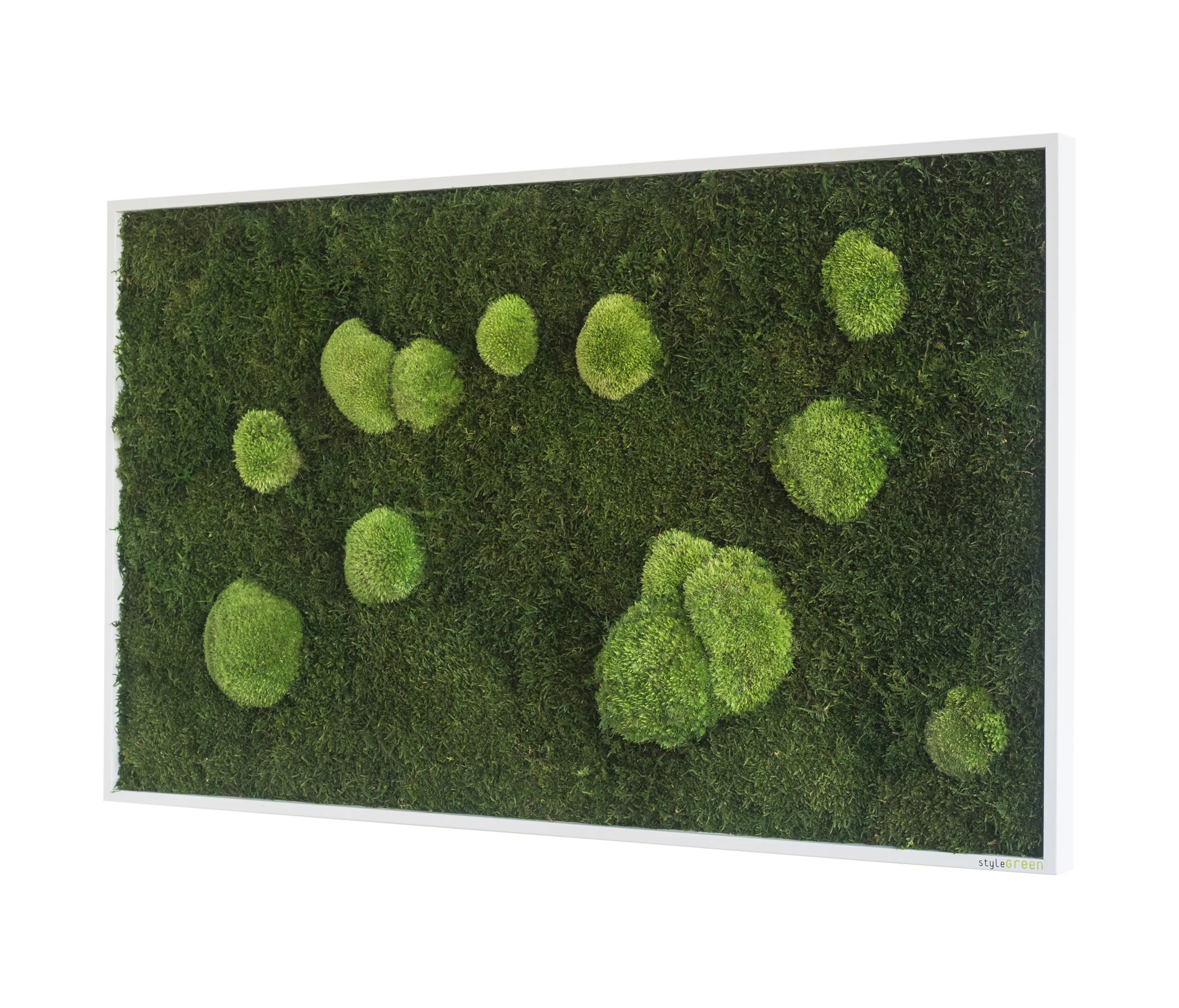 styleGREEN - moss picture | pole and forest moss picture 100x60cm