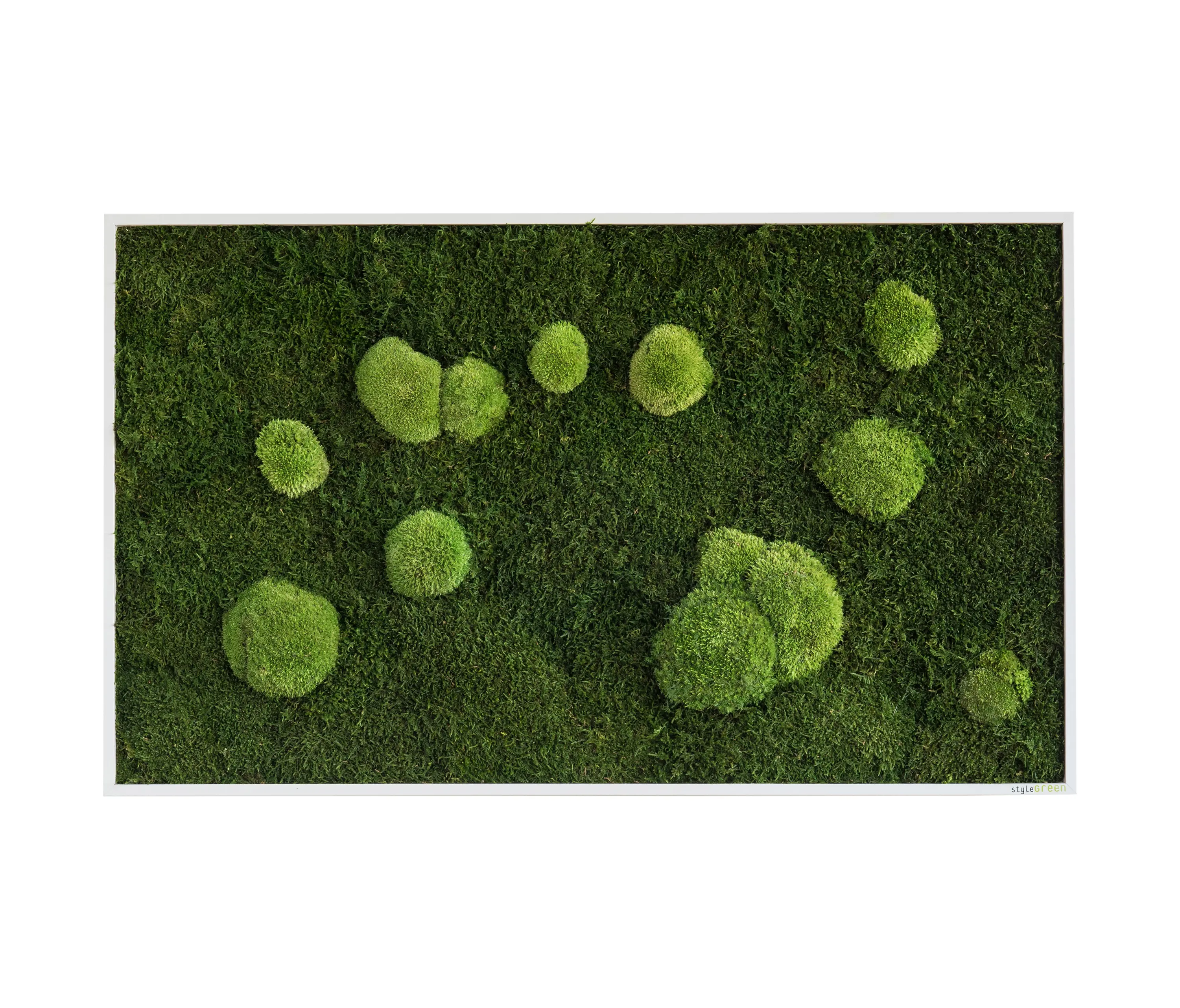 styleGREEN - moss picture | pole and forest moss picture 100x60cm