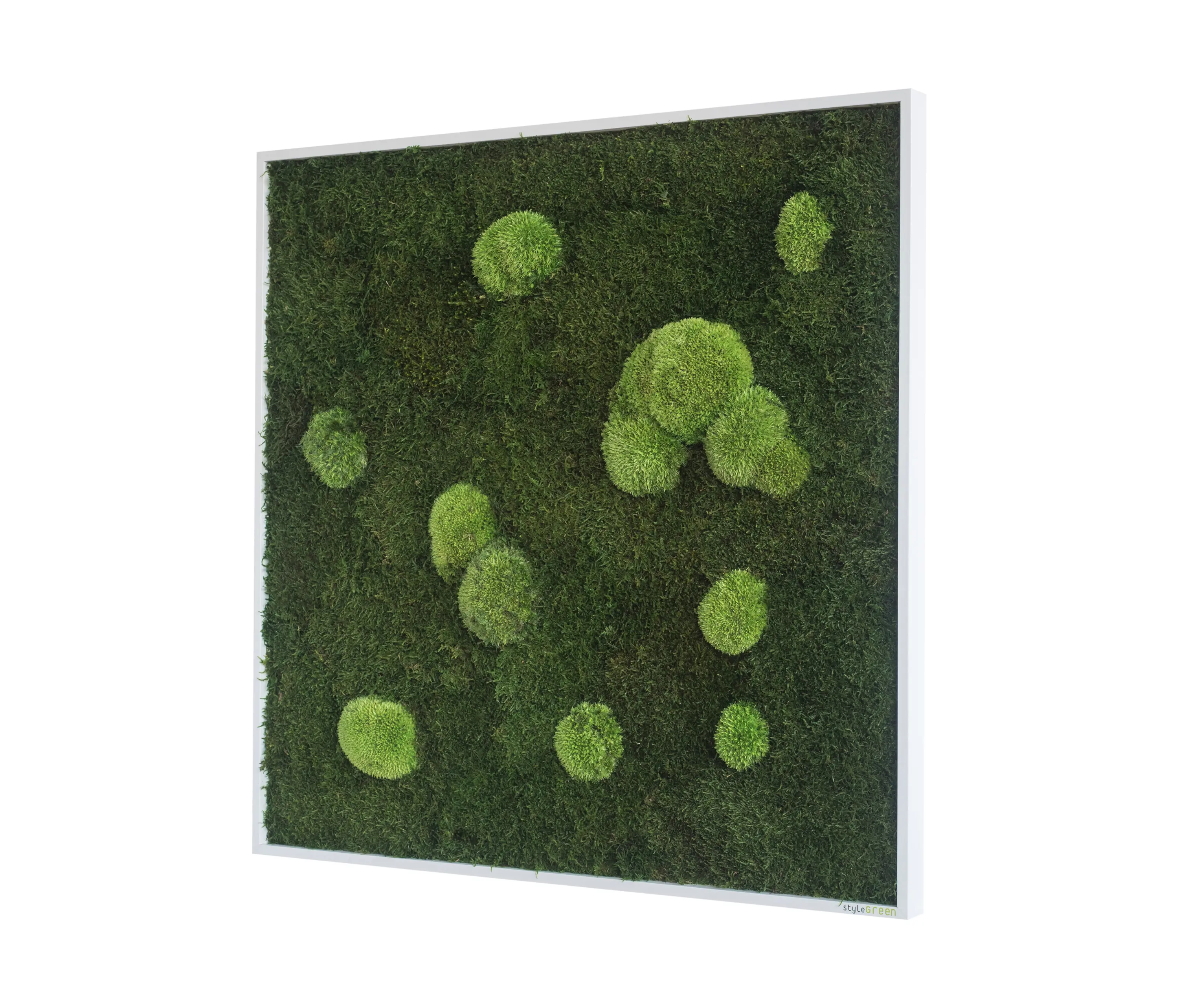 styleGREEN - moss picture | pole and forest moss picture 80x80cm