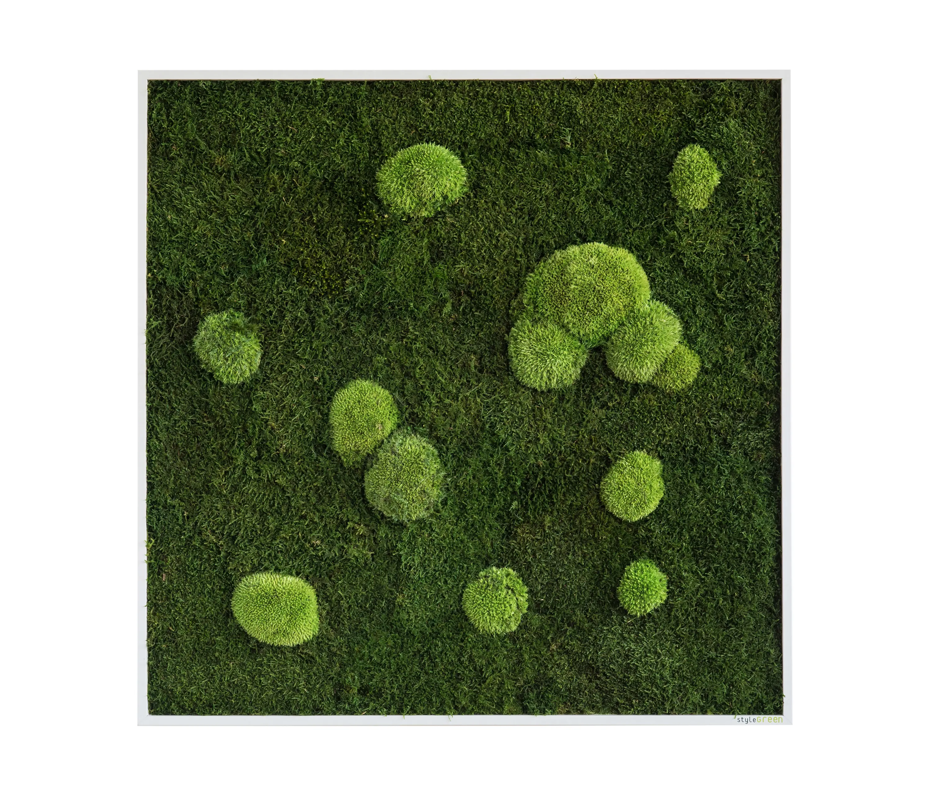 styleGREEN - moss picture | pole and forest moss picture 80x80cm