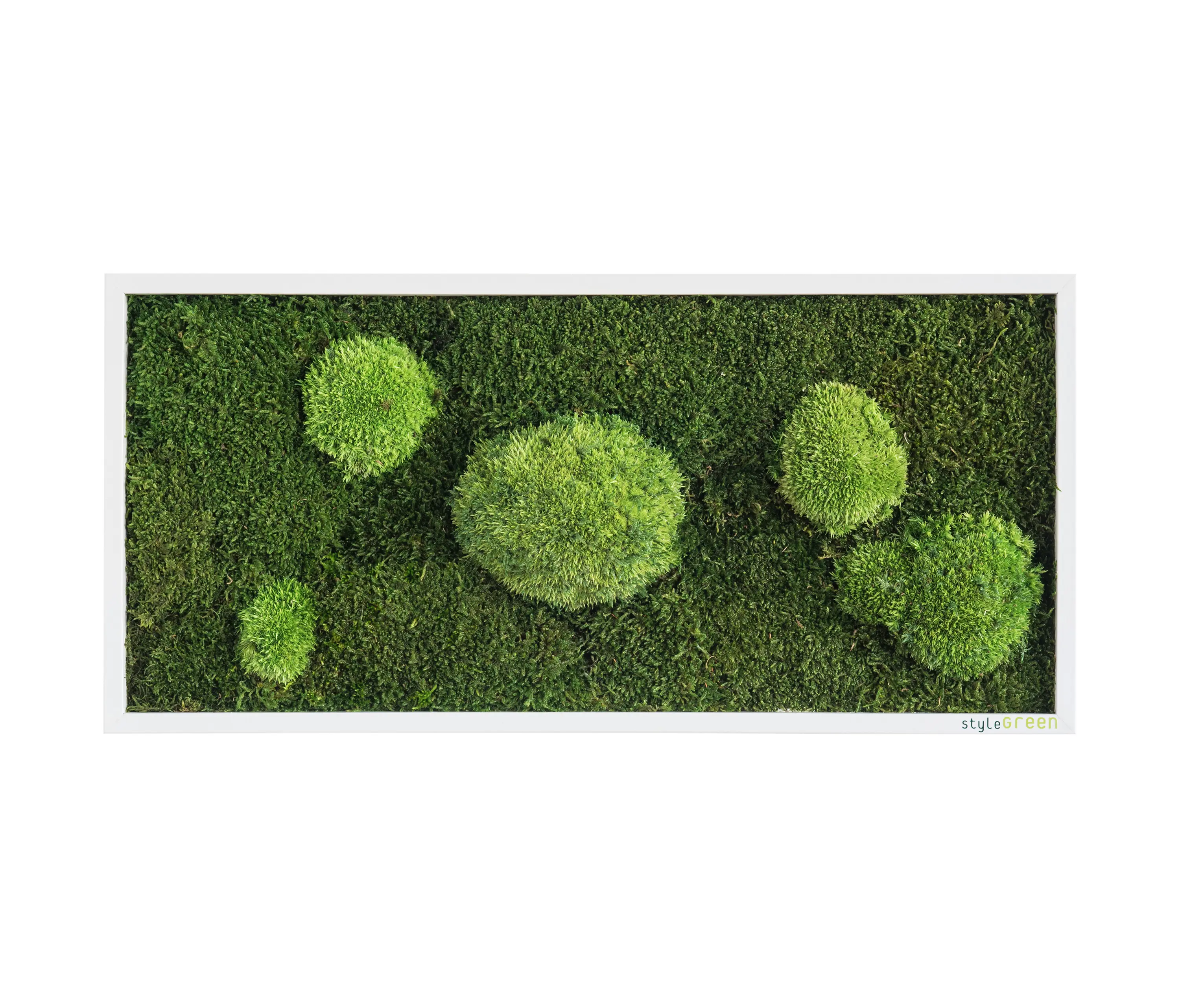 styleGREEN - moss picture | pole and forest moss picture 57x27cm