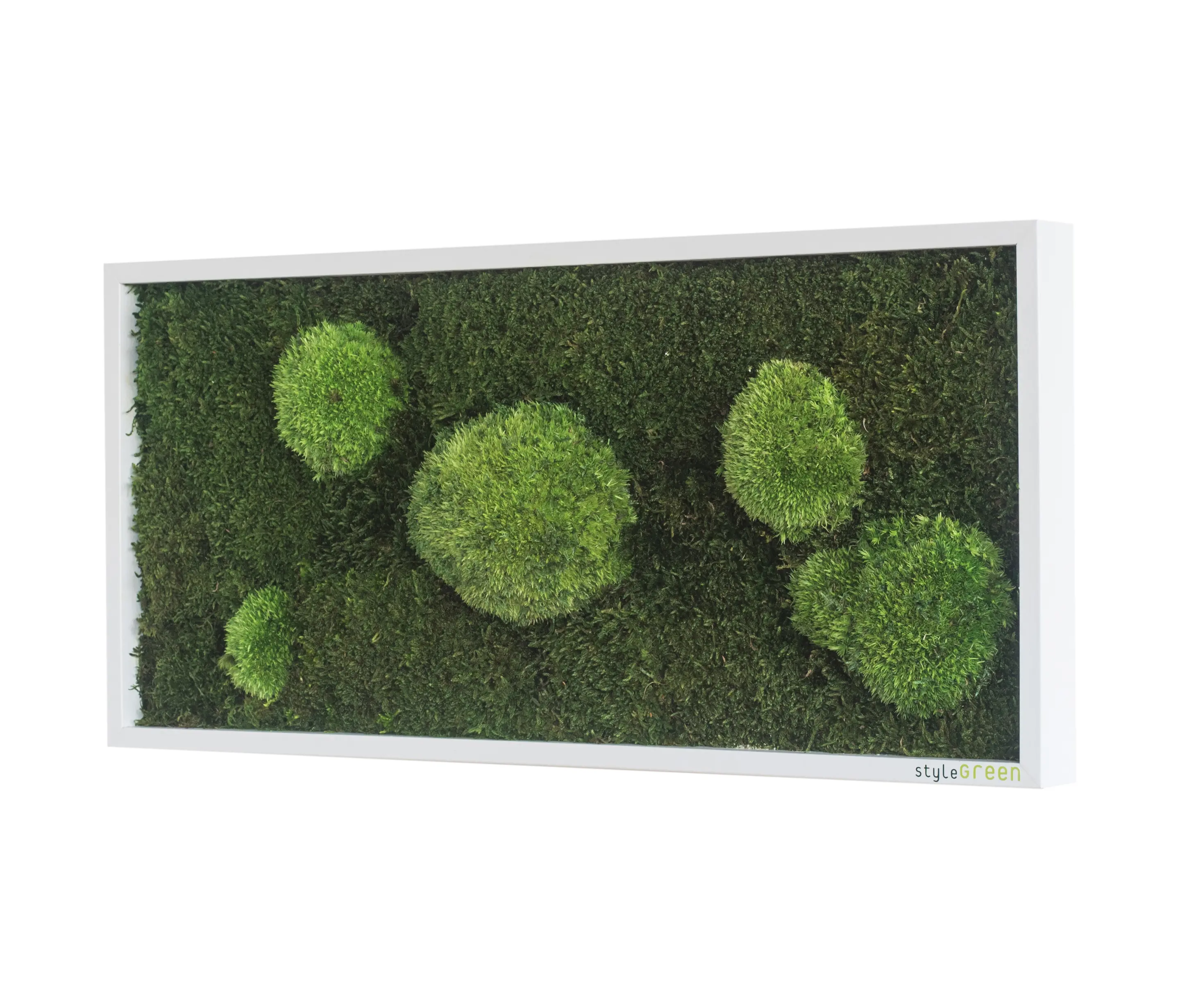 styleGREEN - moss picture | pole and forest moss picture 57x27cm