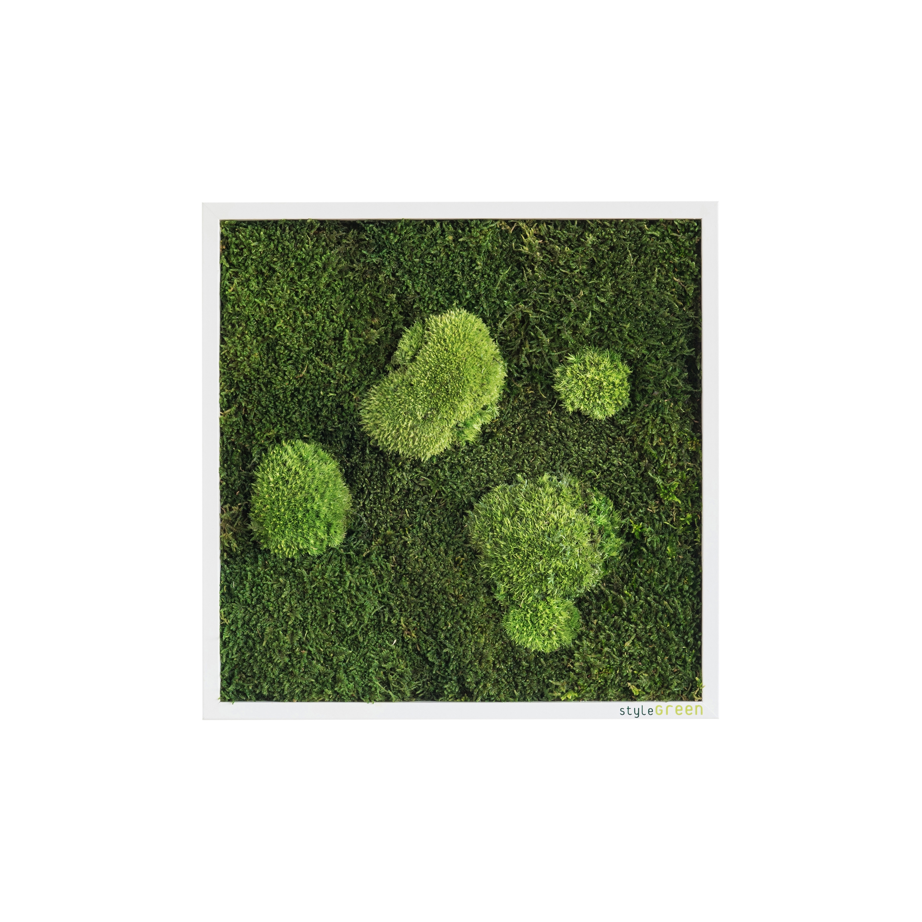 Display product moss picture | pole and forest moss picture 35x35cm from manufacturer styleGREEN