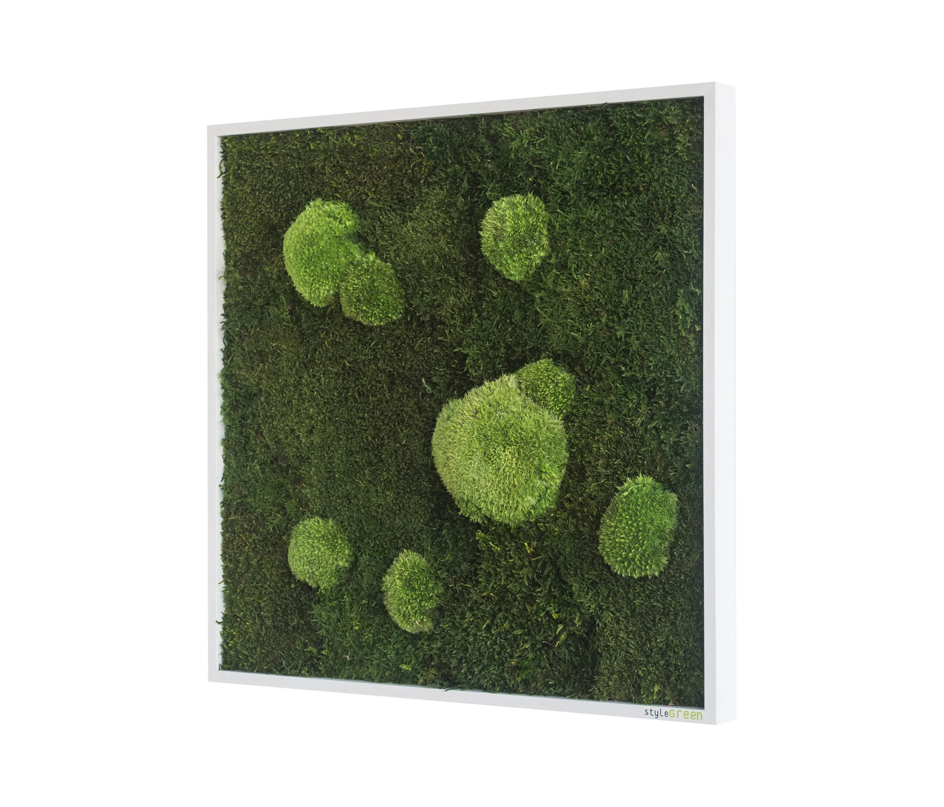 styleGREEN - Moosbilder | Wald- und Kugelmoosbild 55x55cm