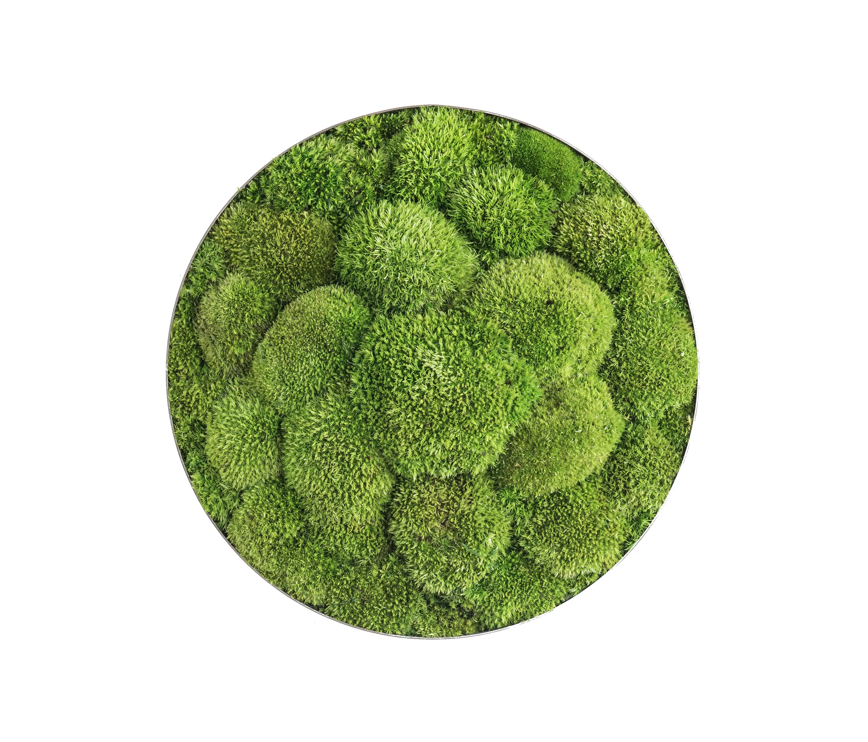 styleGREEN - ellipsoid | pole moss 34cm