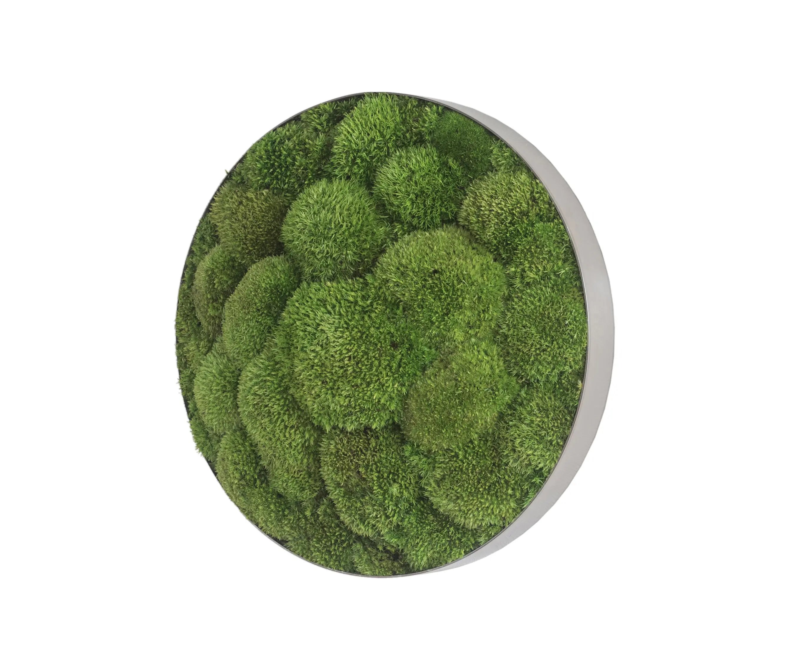 styleGREEN - ellipsoid | pole moss 34cm