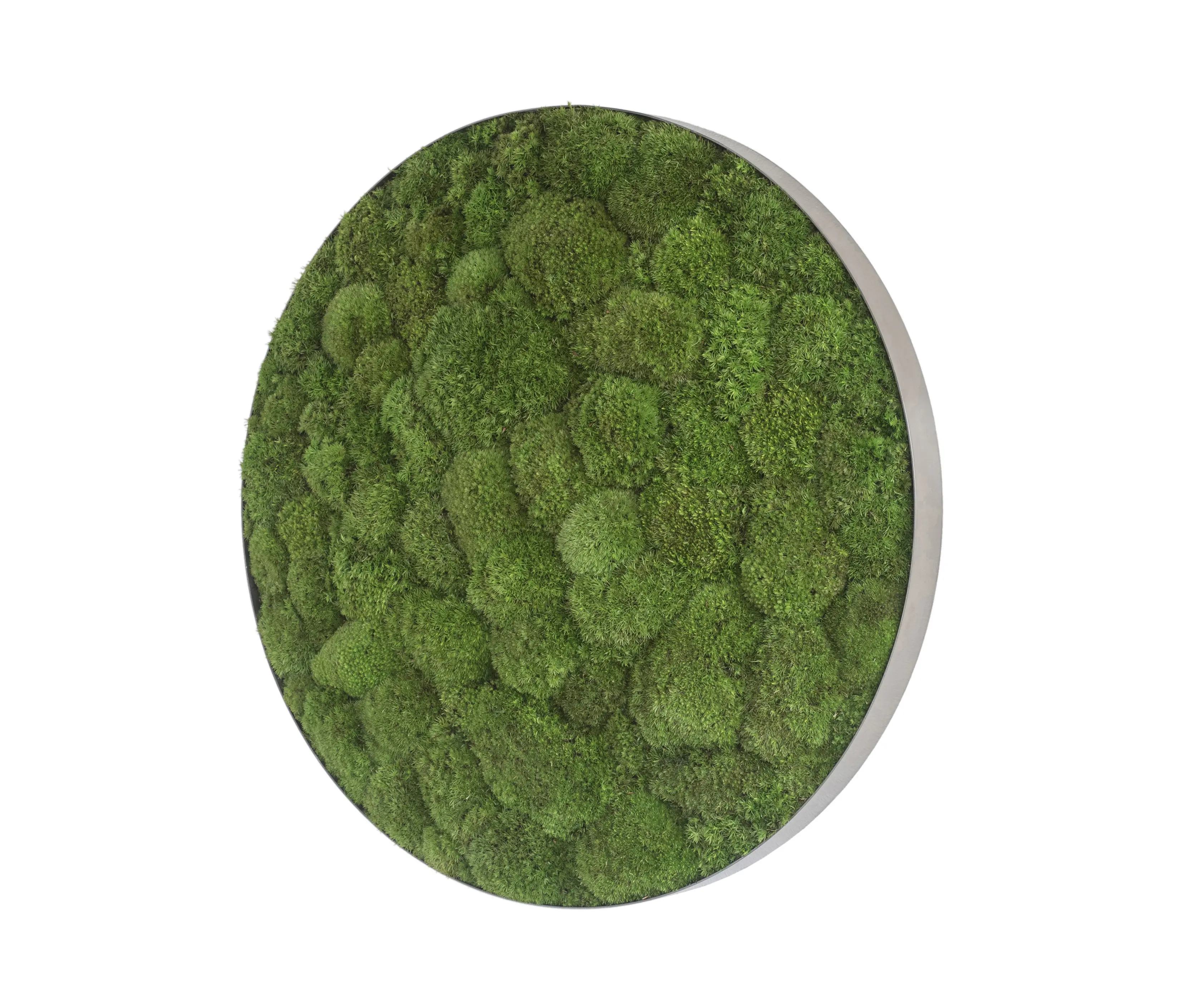 styleGREEN - ellipsoid | pole moss 54cm
