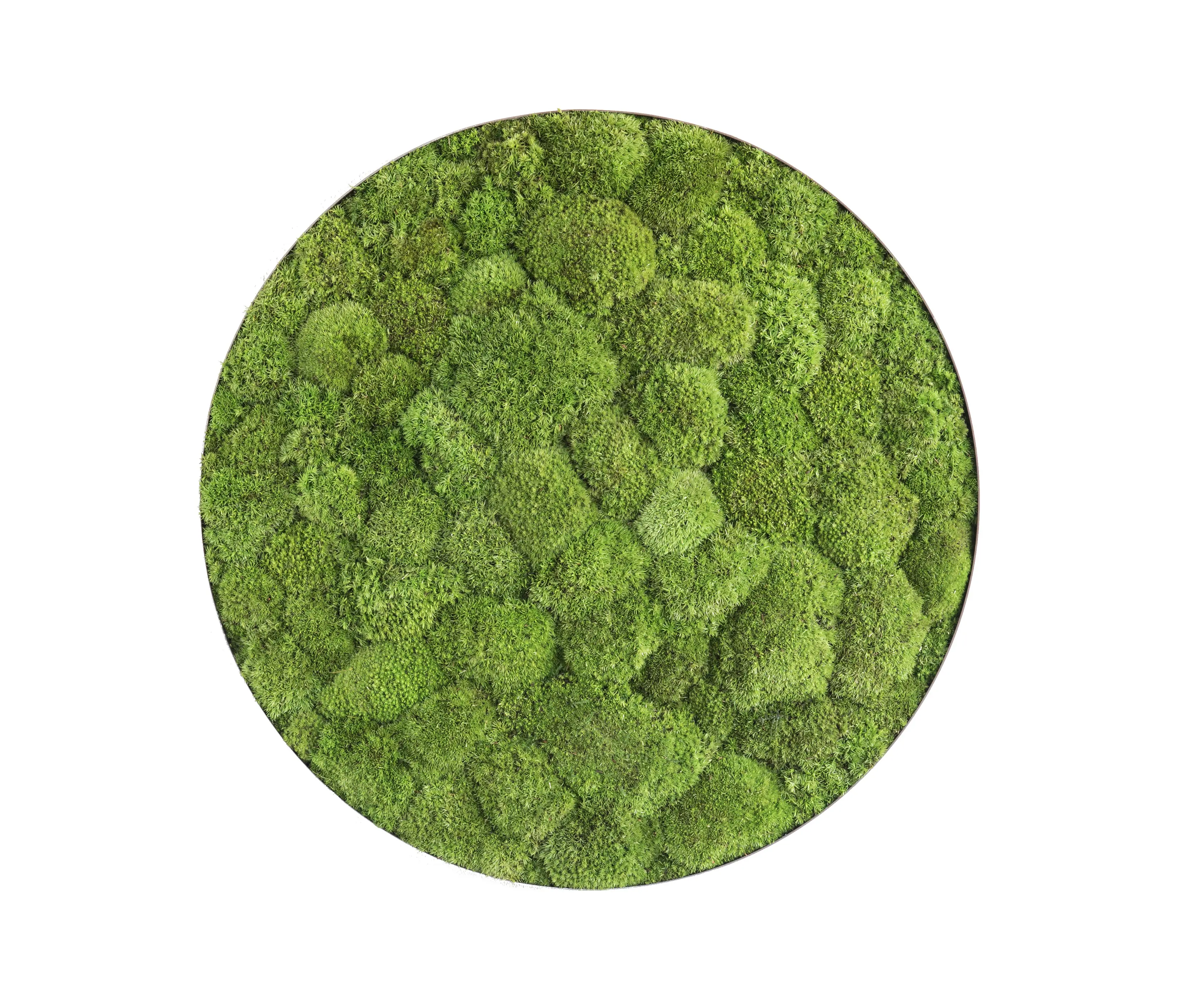 styleGREEN - ellipsoid | pole moss 54cm