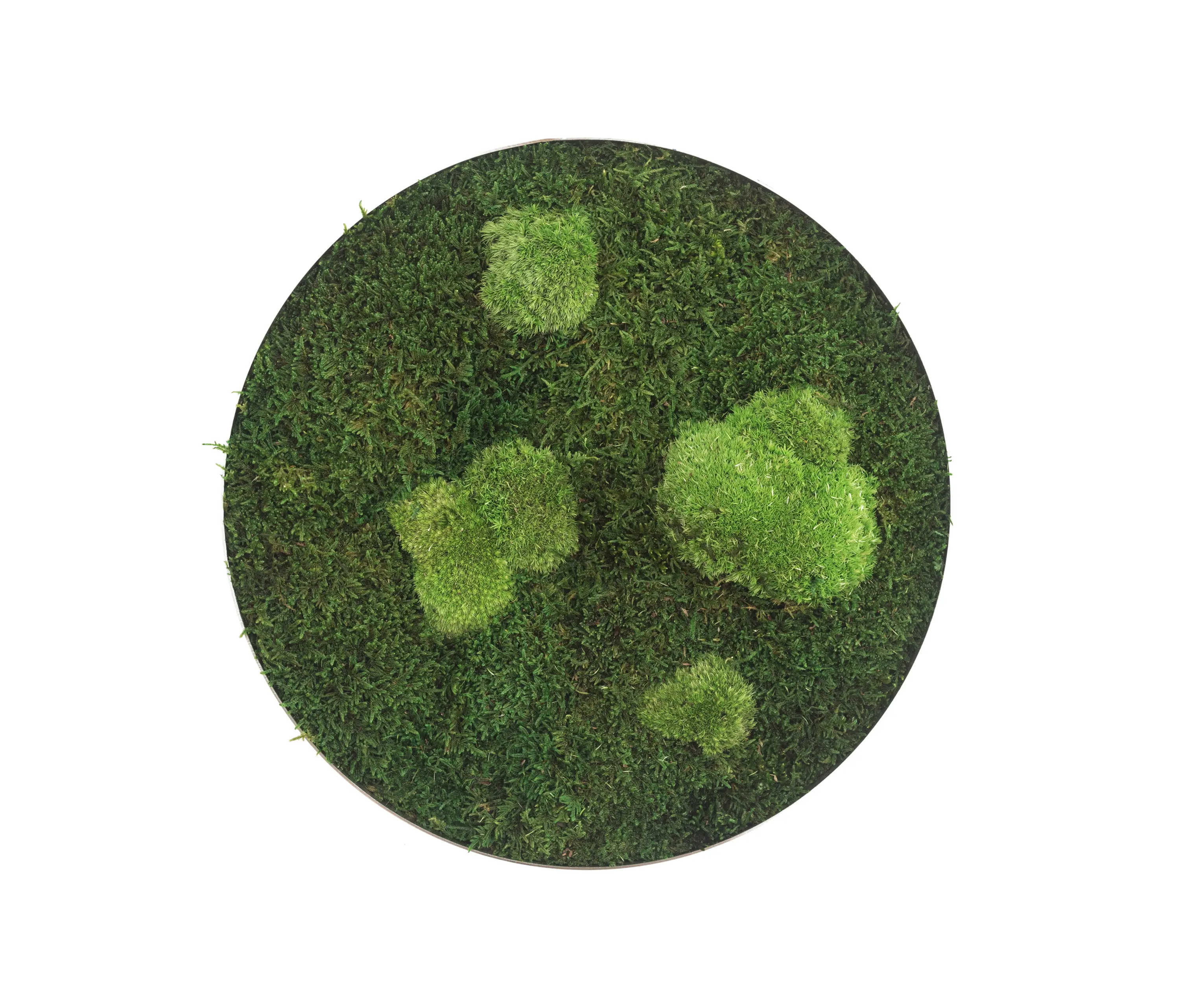styleGREEN - circle | forest and pole moss 34cm