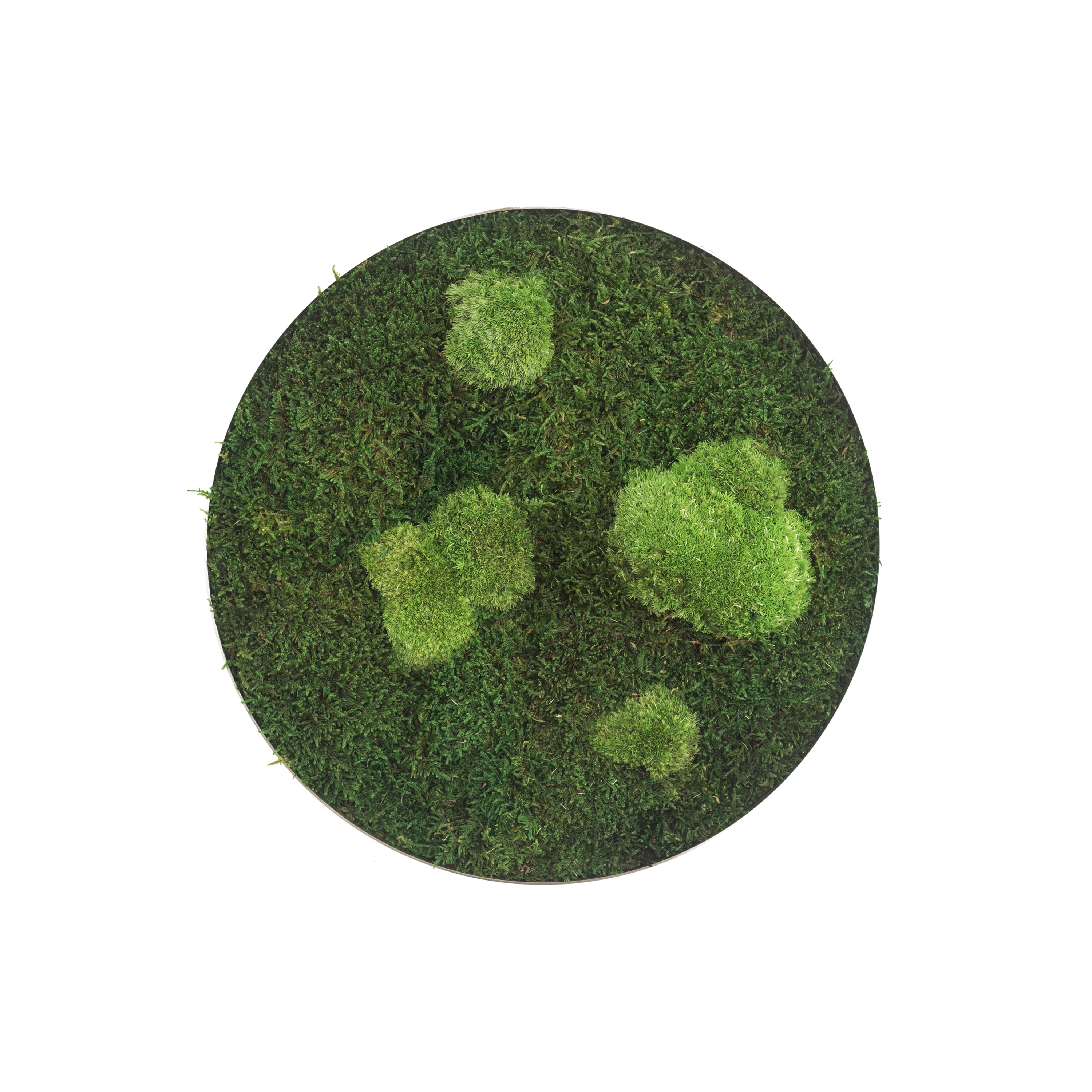 Display product circle | forest and pole moss 34cm from manufacturer styleGREEN