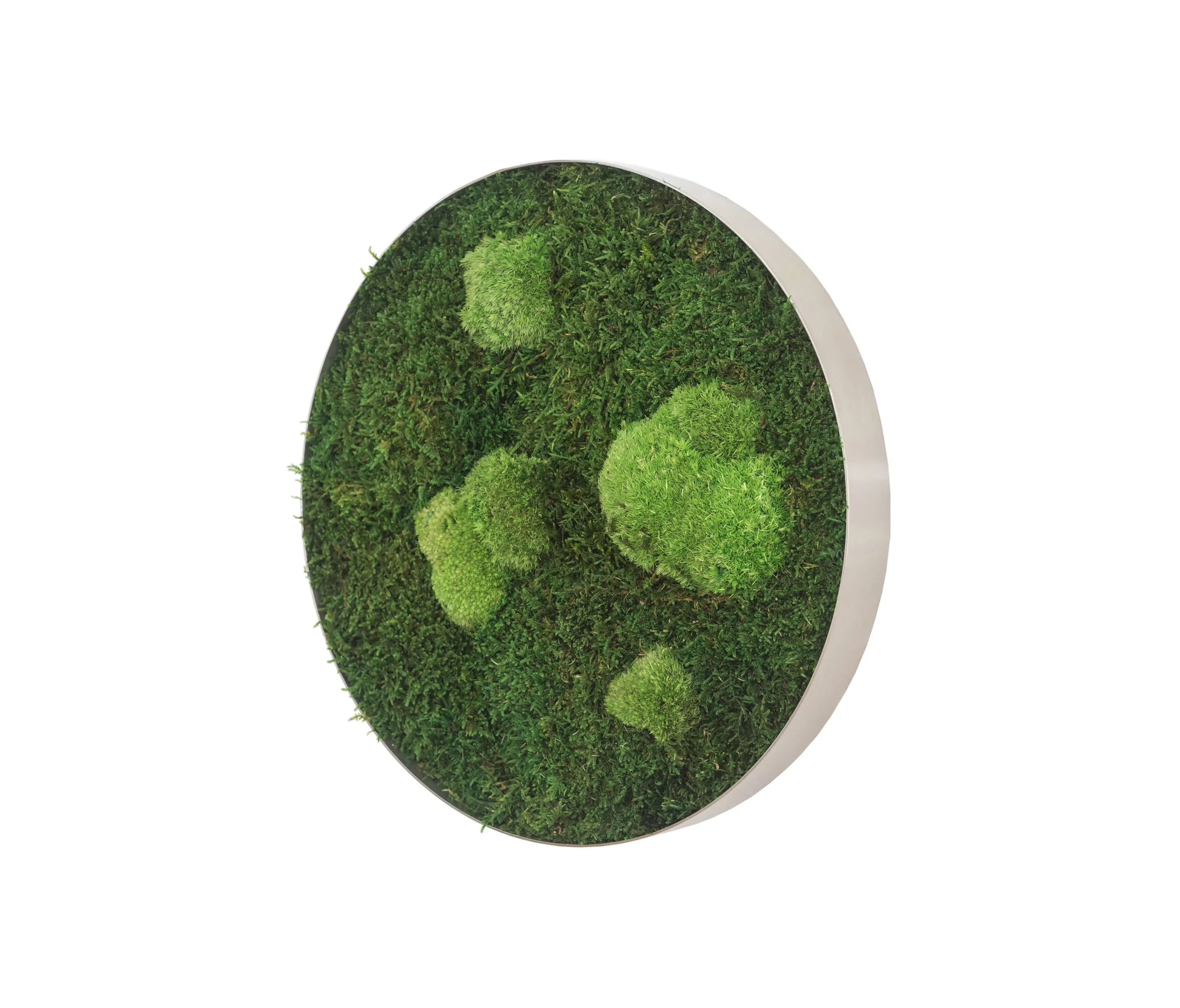 styleGREEN - circle | forest and pole moss 34cm