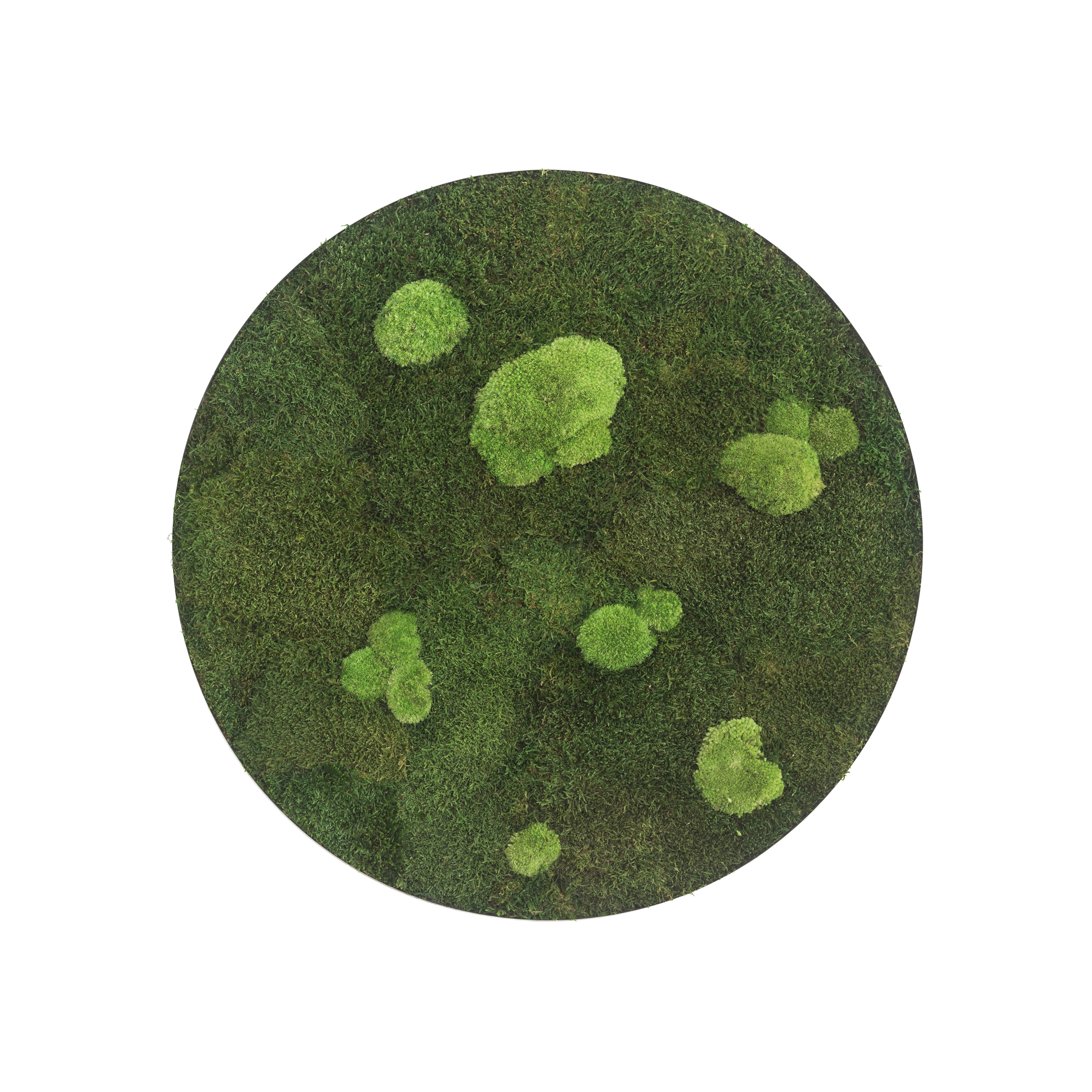 Display product circle | forest and pole moss 54cm from manufacturer styleGREEN