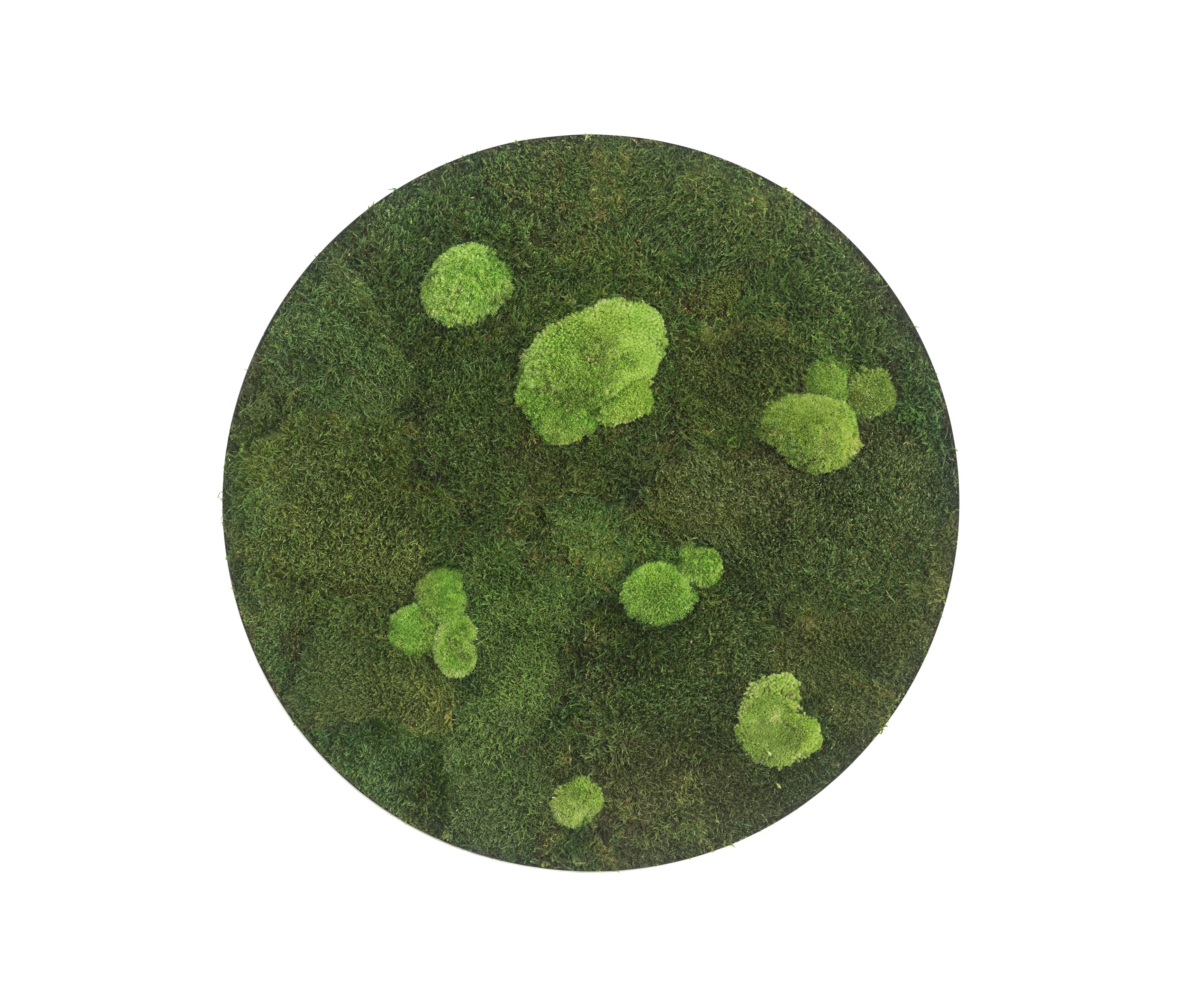 styleGREEN - circle | forest and pole moss 54cm